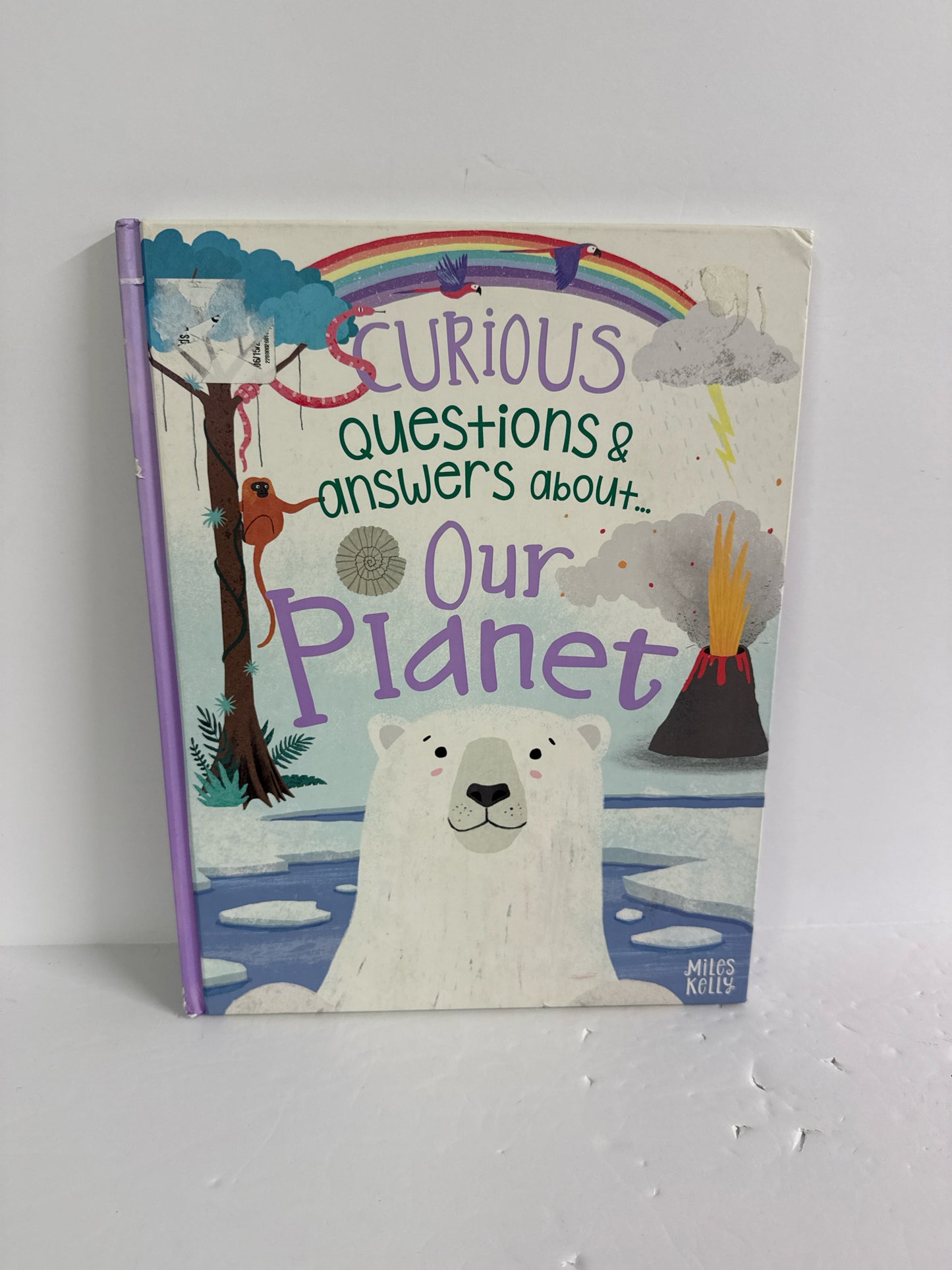 Curious Questions & Answers About A Miles Kelly Hardback Books