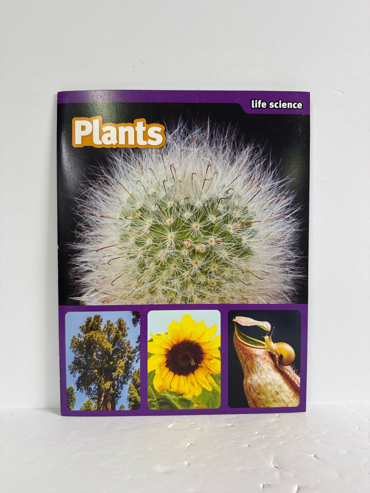 Plants Scholastic Stem Activities Elementary Experiment Books