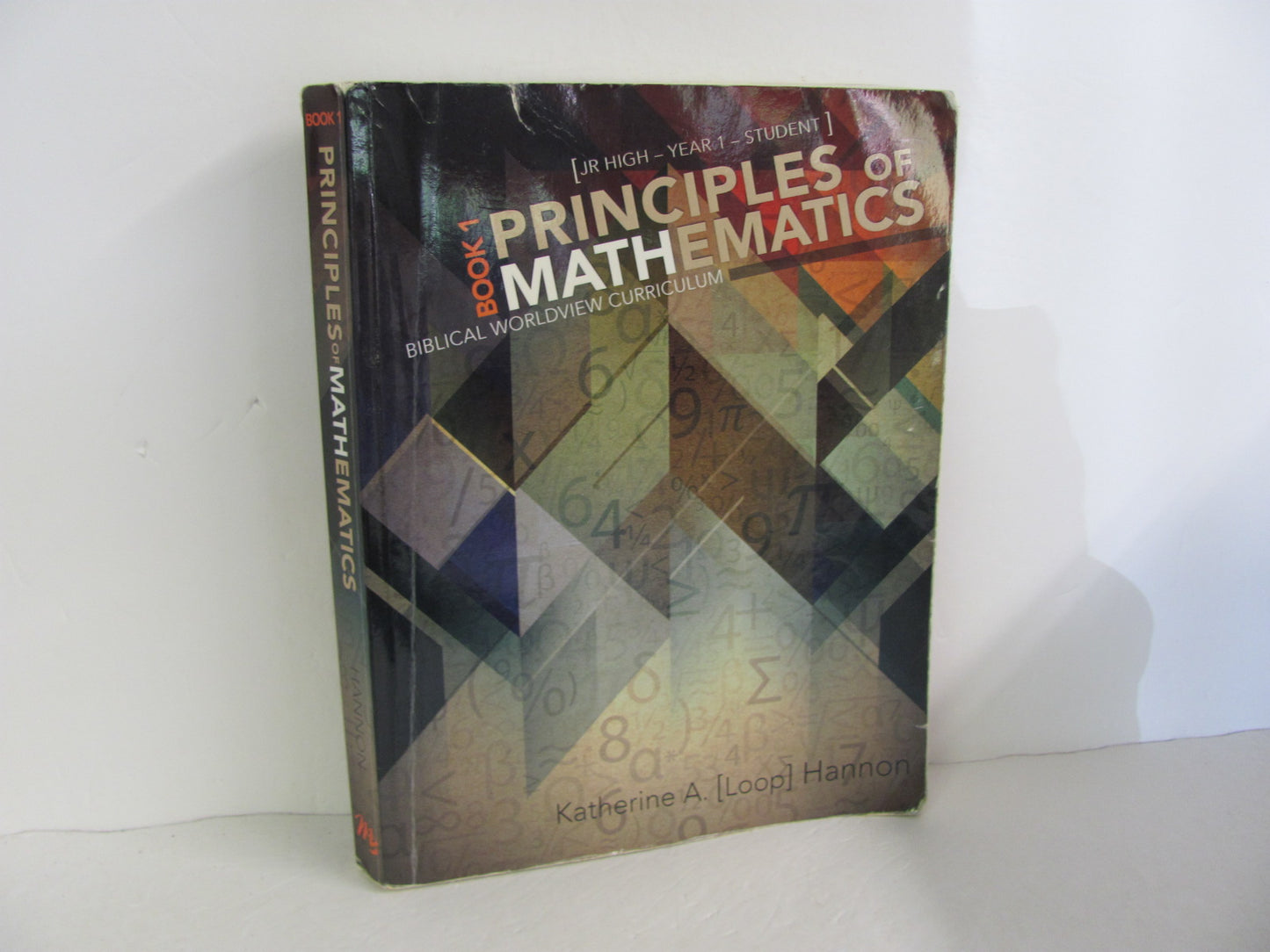 Principles of Mathematics BK 1 Master Books Hannon Mathematics Textbooks