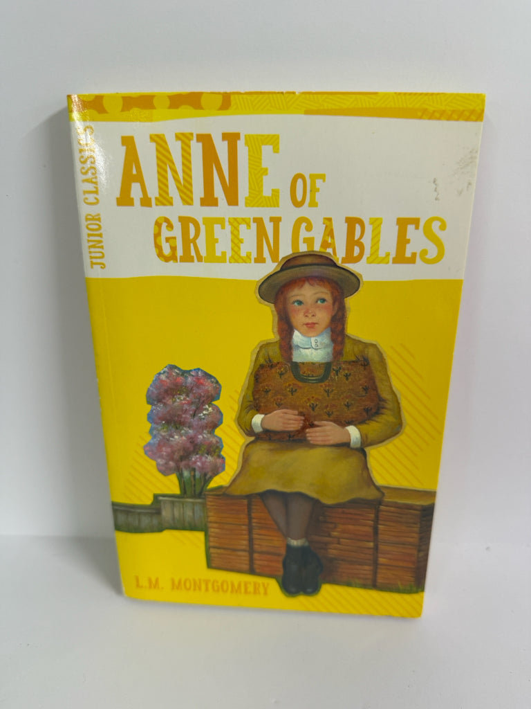 Anne of Green Gables Bendon Pre-Owned L. M. Montgomery Fiction Books