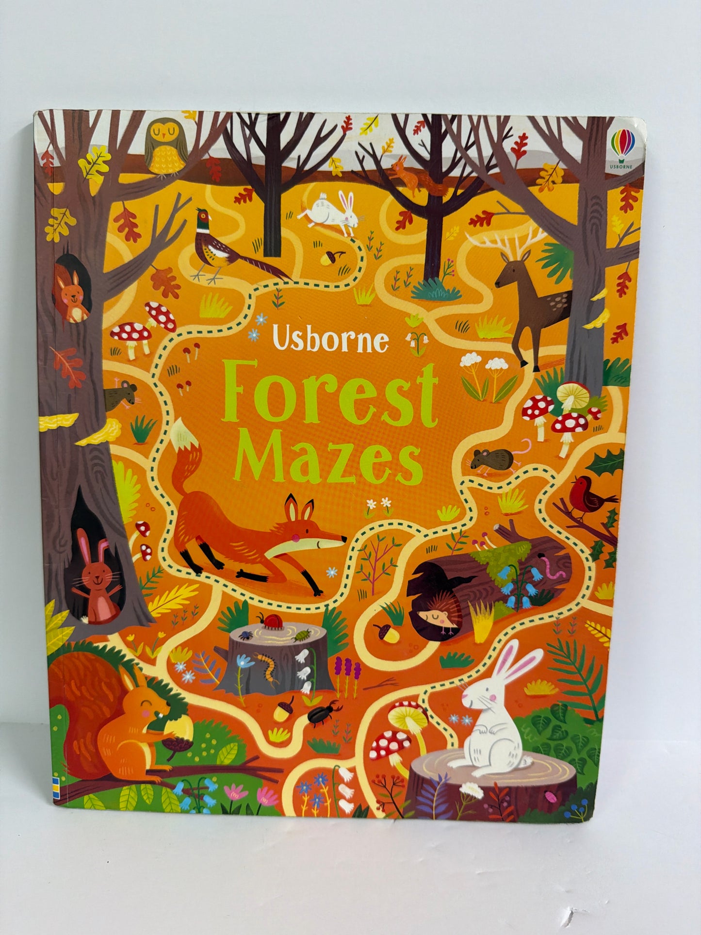 Forest Mazes Usborne Pre-Owned Elementary Children's Books