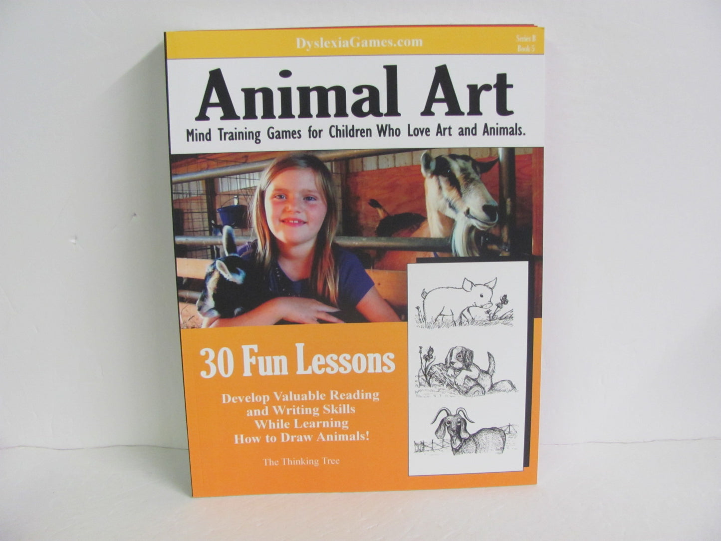 Animal Art Dyslexia Games Pre-Owned Thinking Tree Educator Resources