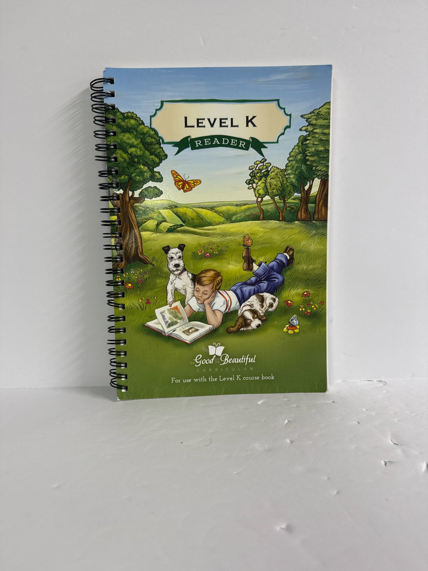 Level K Reader The Good and the Beautiful The Good and the Beautiful