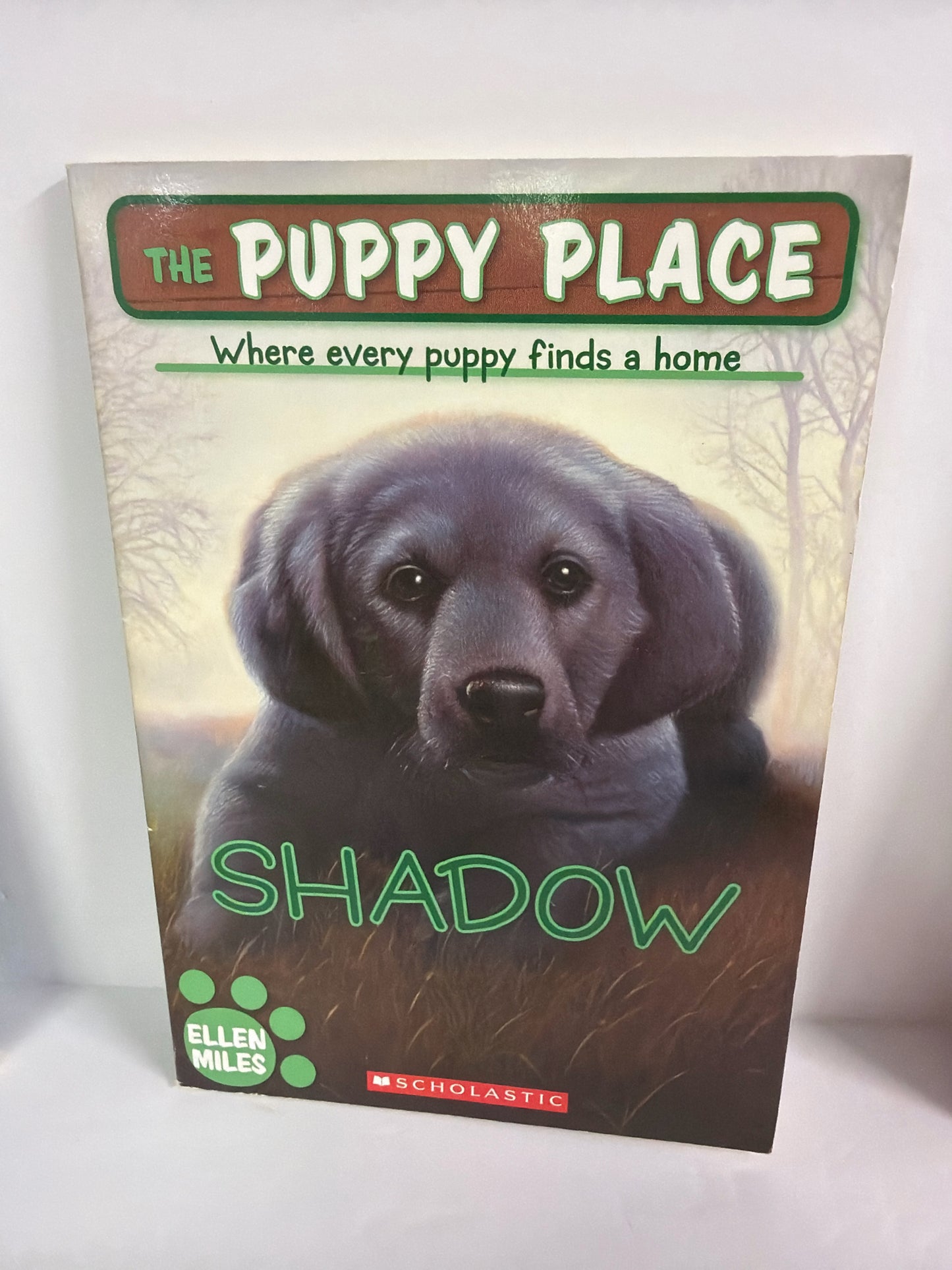 Shadow Scholastic Pre-Owned Miles Elementary Fiction Books