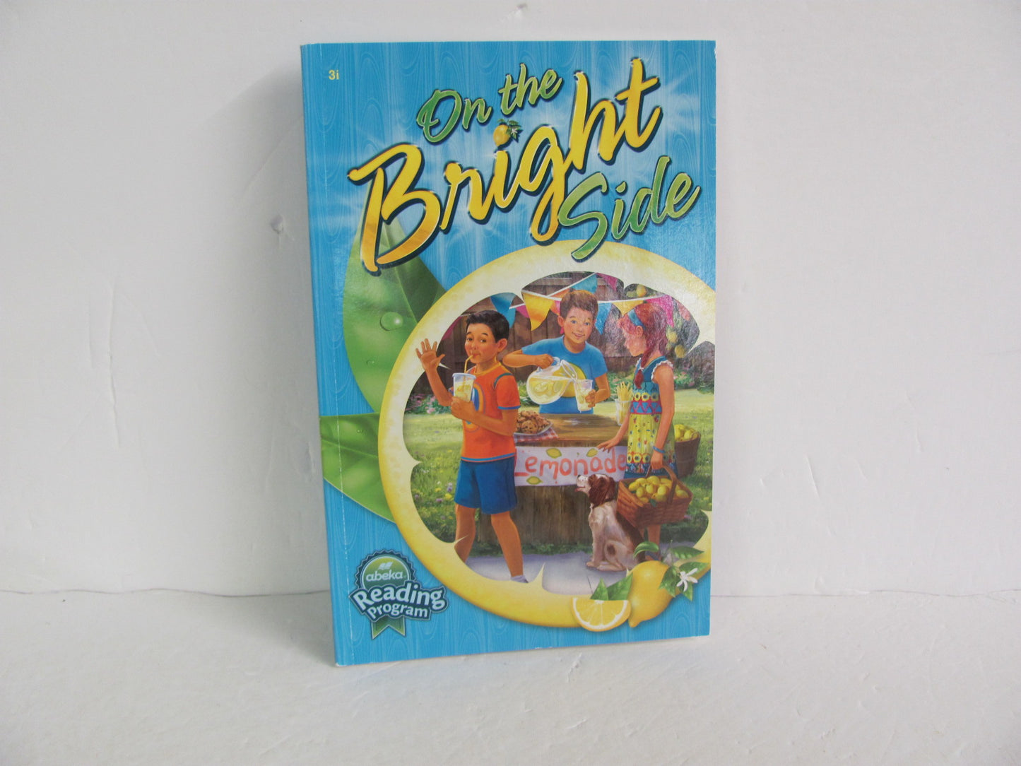 On the Bright Side Abeka Student Book Pre-Owned 3rd Grade Reading Textbooks