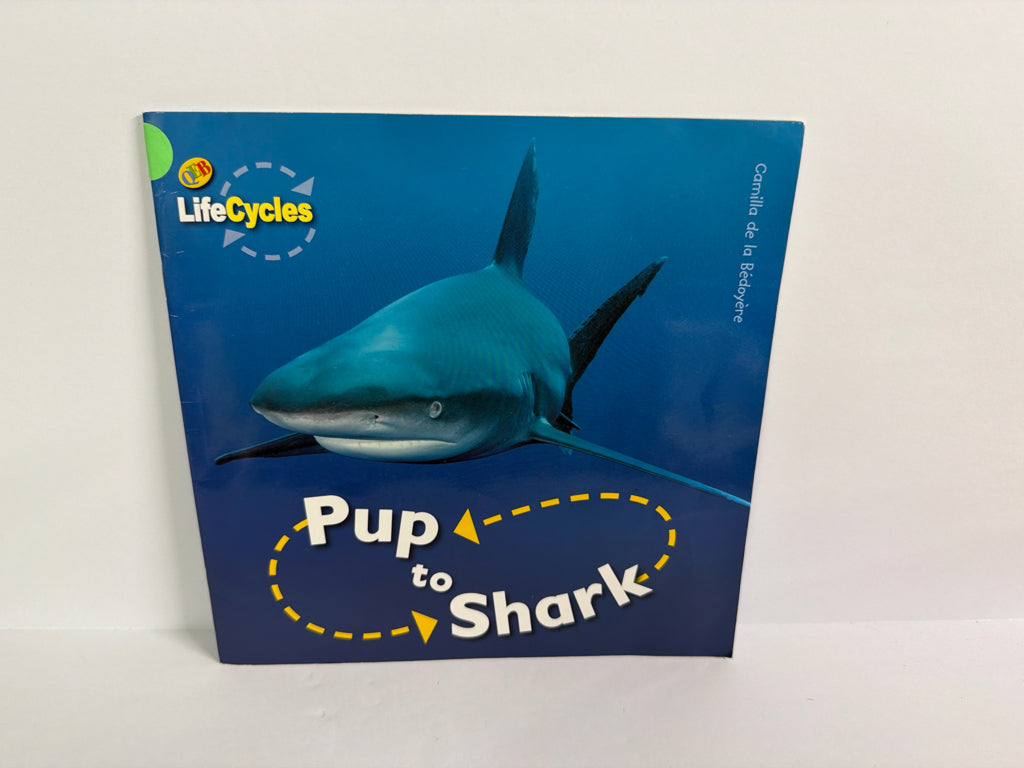 Pup to Shark Camilla de la Bedoyere QEB Pub Paperback Books