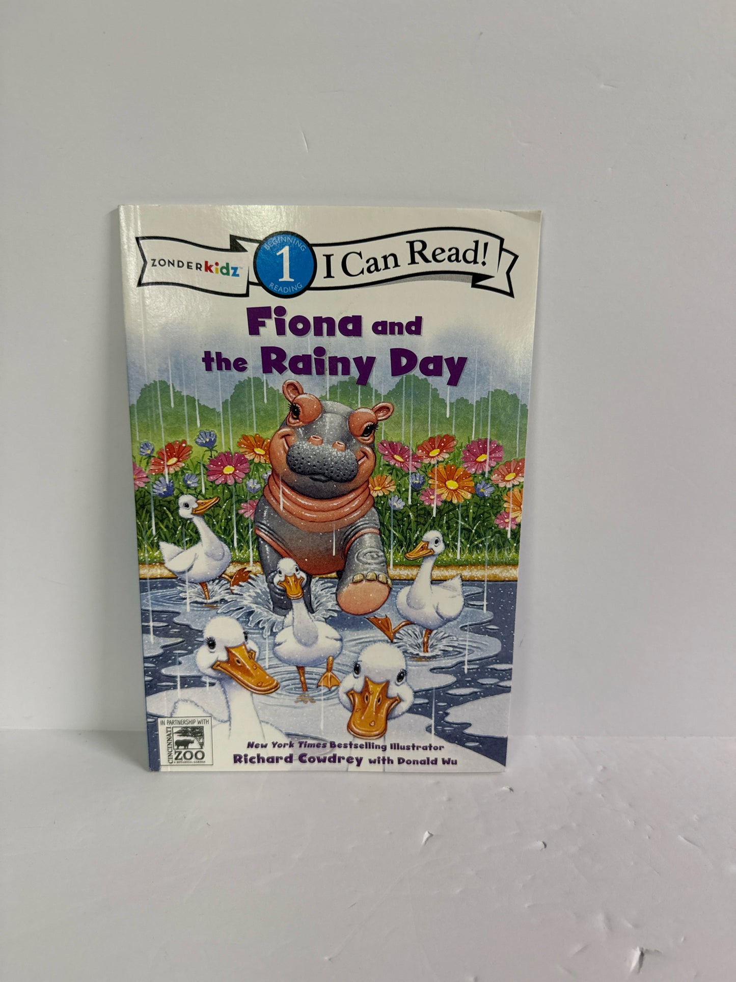 Fiona and the Rainy Day Zonderkidz- Pre-Owned Elementary Phonic Readers