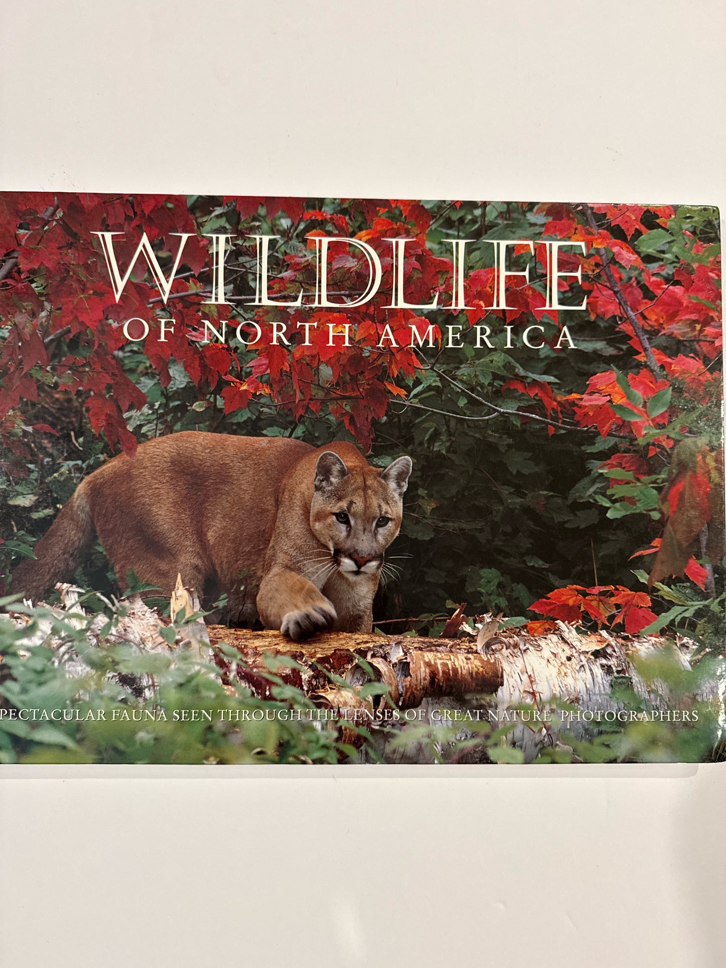 Wildlife of North America Hugh Lauter Pre-Owned Lewis Animals/Insects Books