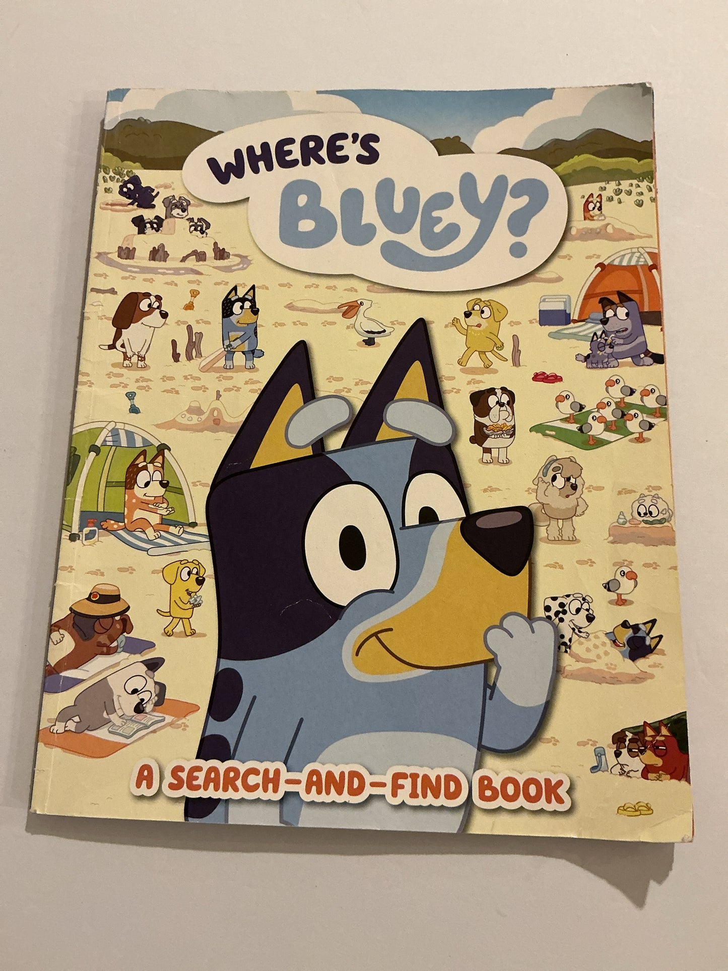 Where's Bluey? BBC Studios Pre-Owned Elementary Children's Books