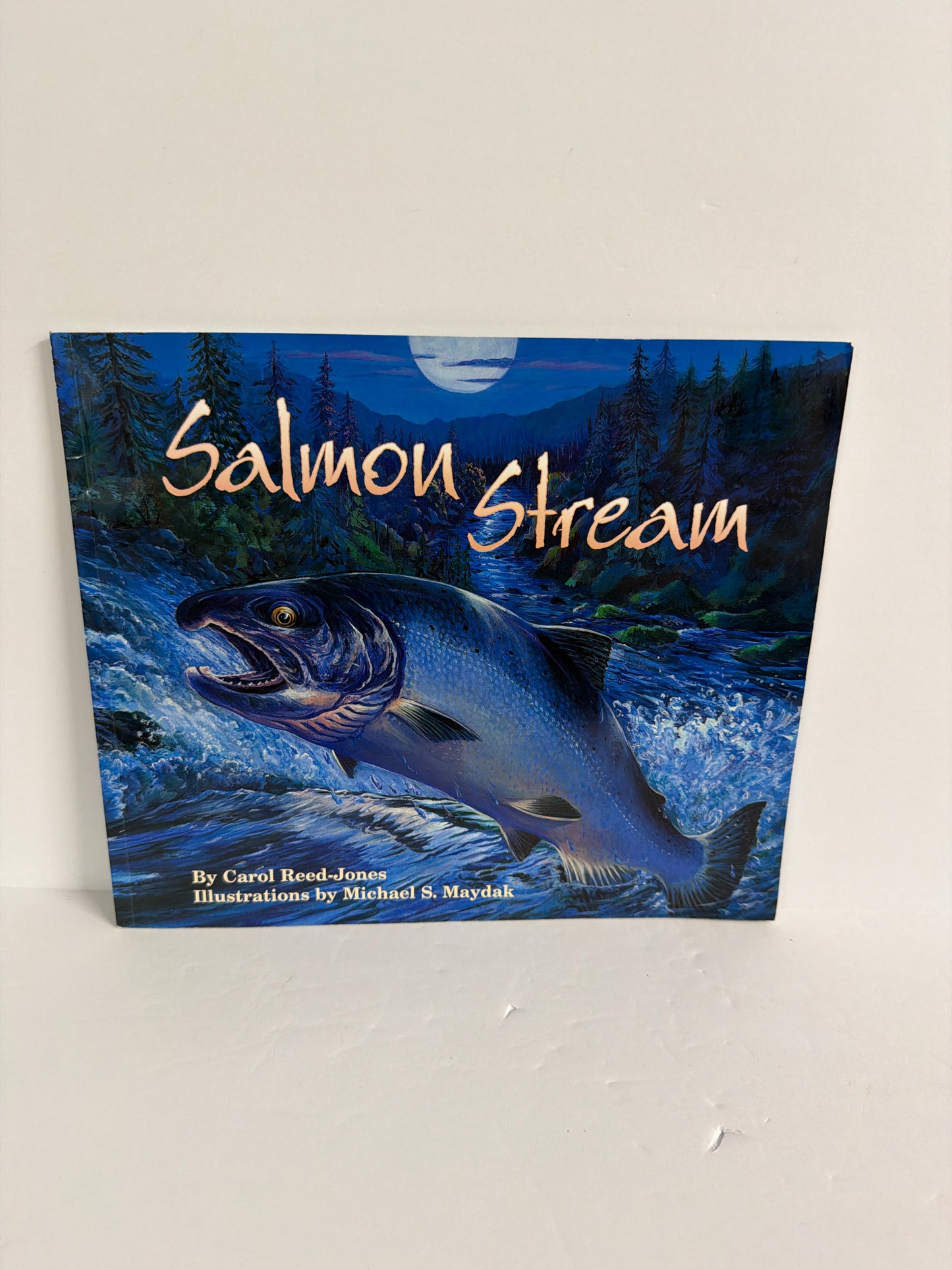 Salmon Stream Dawn Pub Pre-Owned Carol Reed-Jones Elementary Children's Books