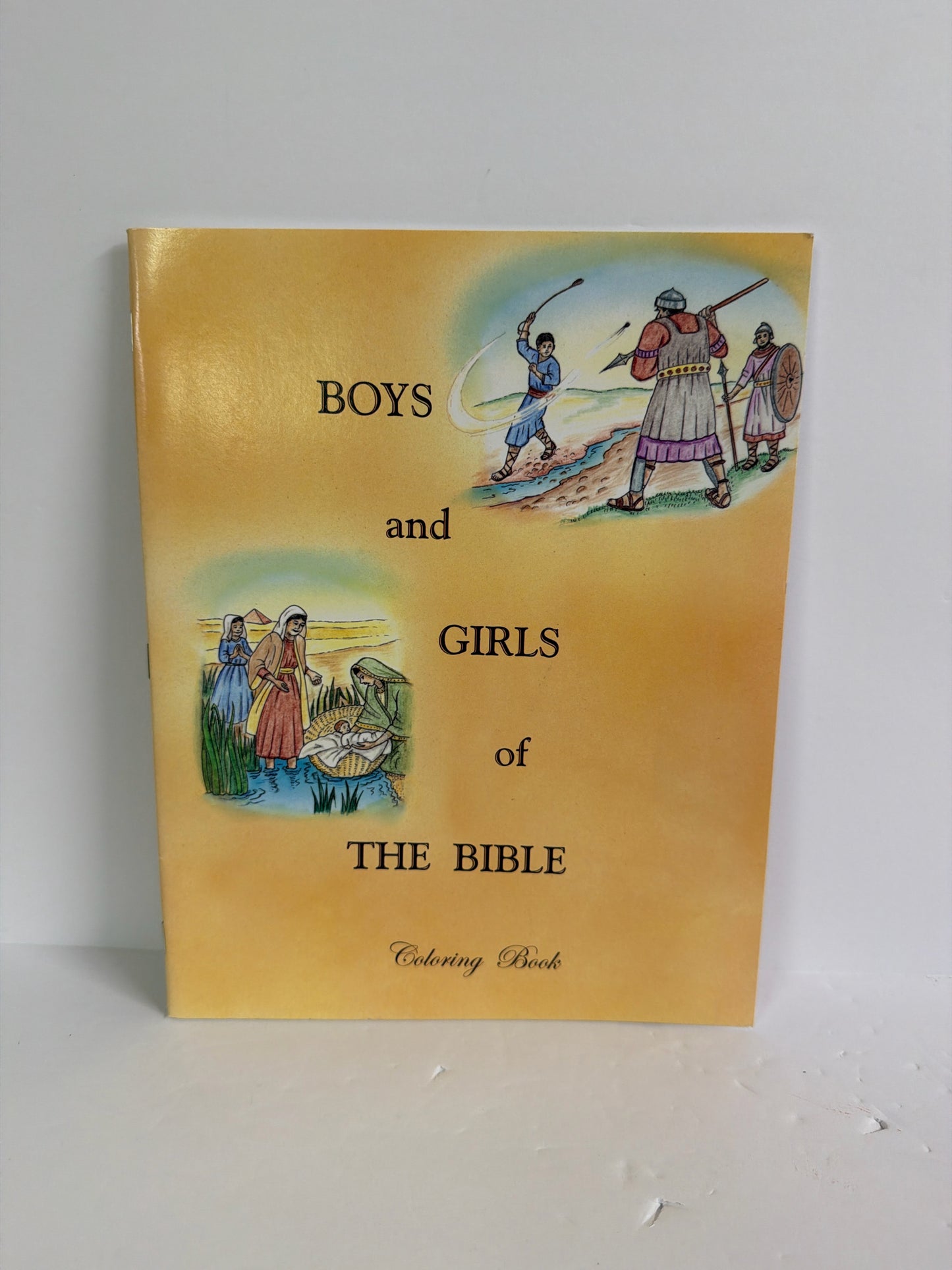 Boys and Girls of the Bible Rod & Staff Pre-Owned Elementary Bible Textbooks