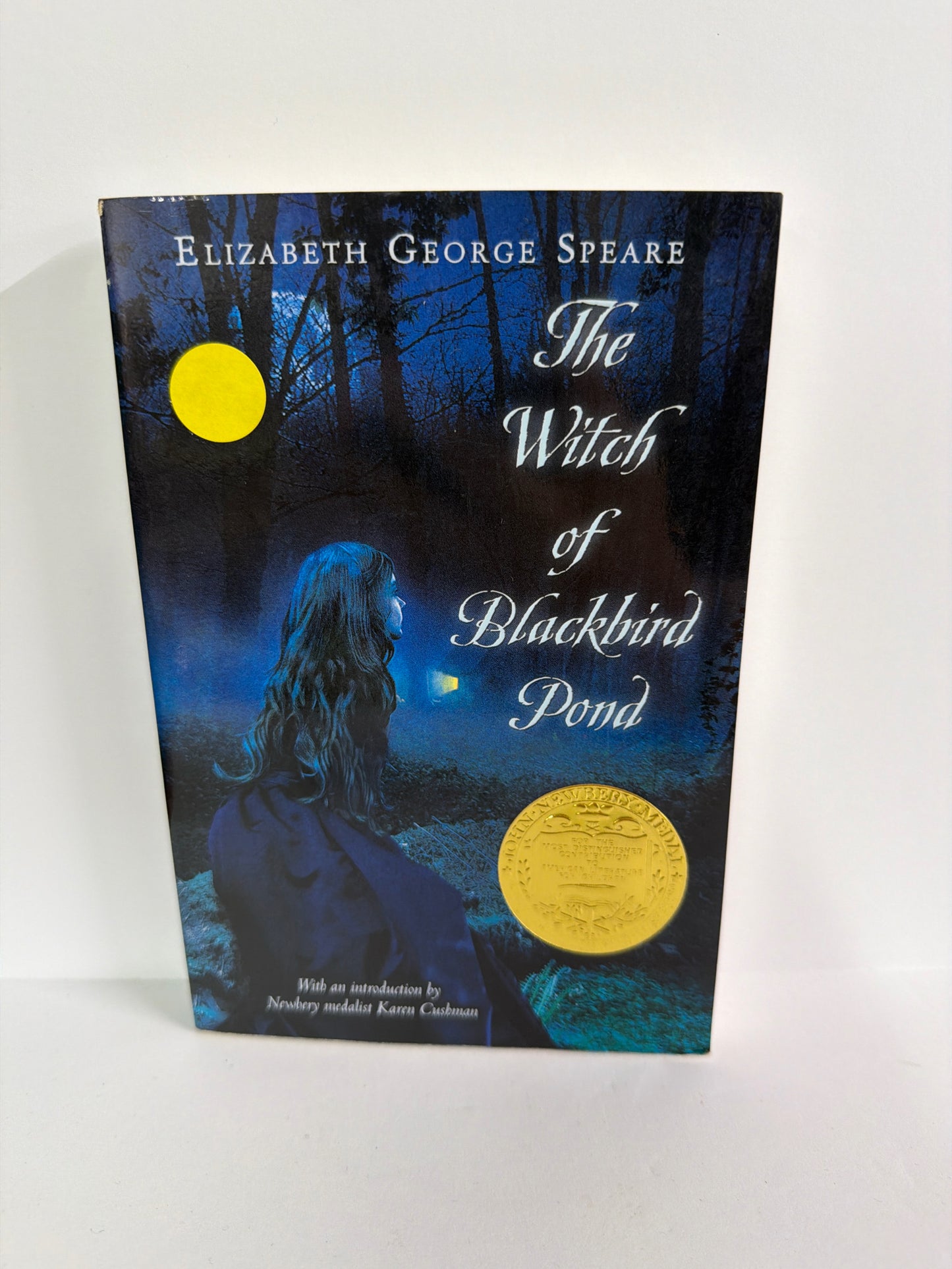 The Witch of Blackbird Pond Houghton Mifflin Pre-Owned Fiction Books