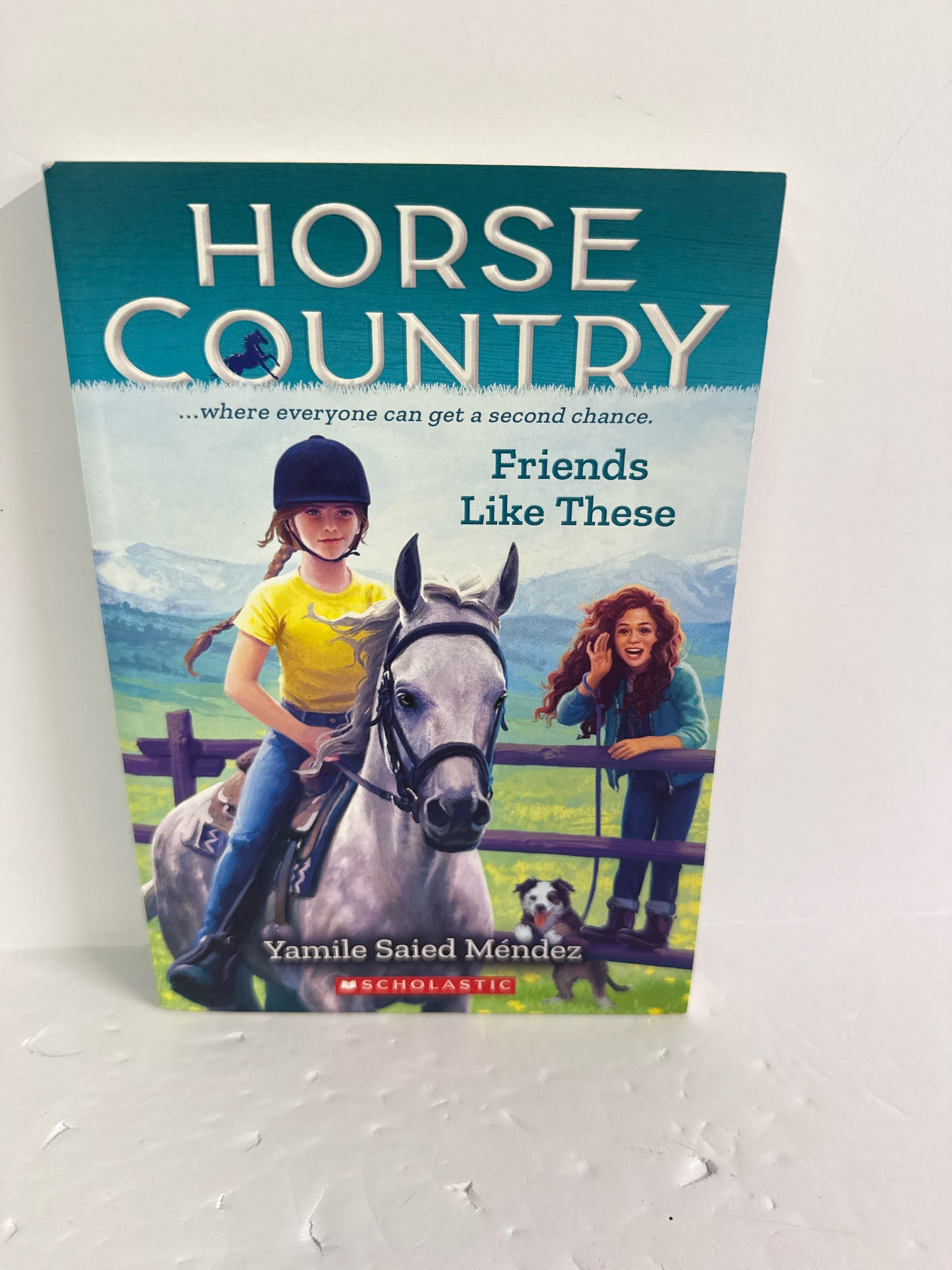 Friends Like These Yamile Saied Mendez Scholastic Juvenile Books