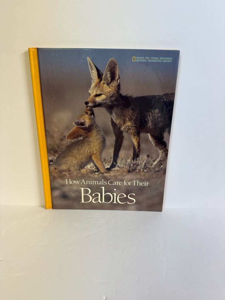 How Animals Care for Their Babies National Geographic Pre-Owned Animals/Insects
