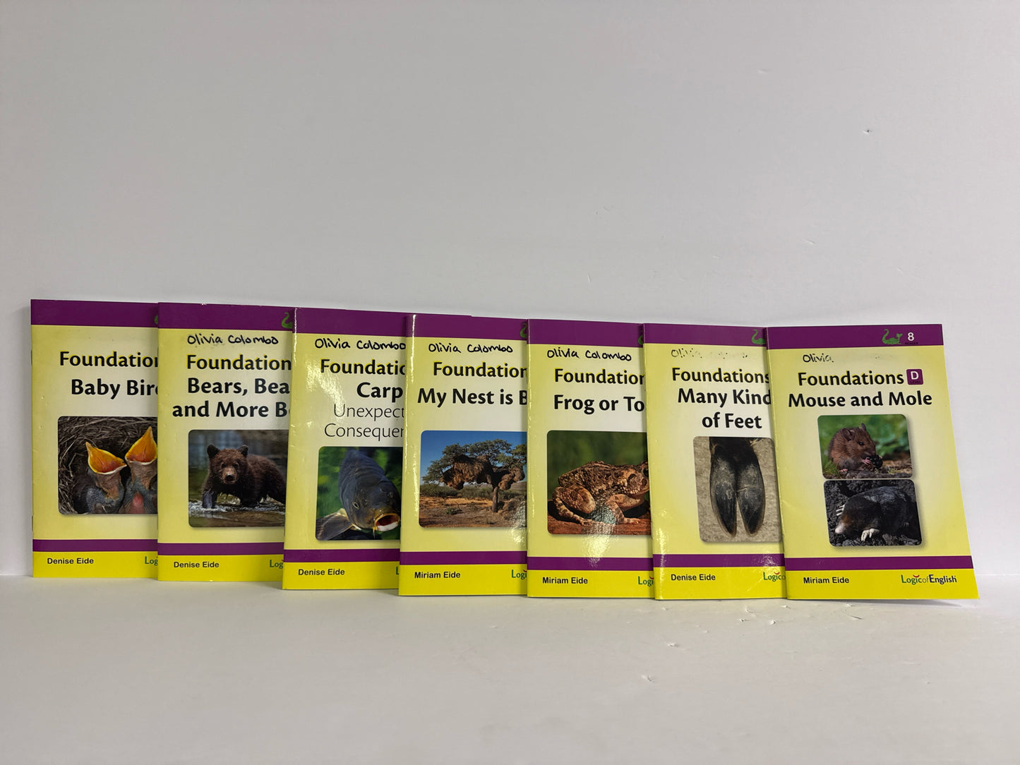 Foundations Logic of English Set Pre-Owned Denise Eide Reading Textbooks