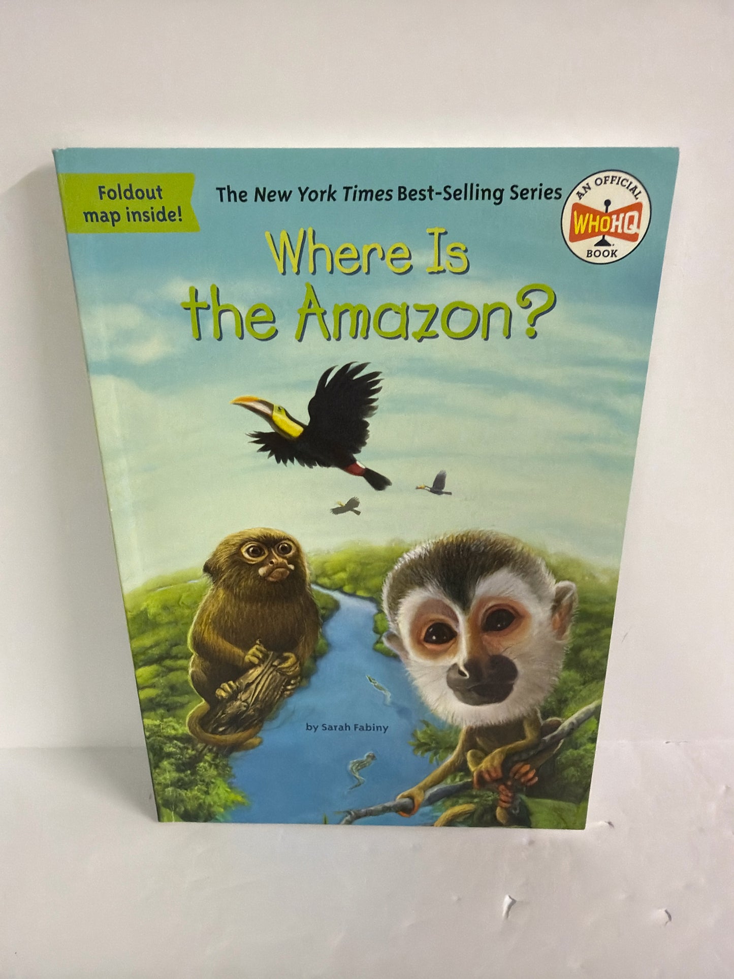 Where Is the Amazon? Sarah Fabiny WHOHQ Juvenile Fiction