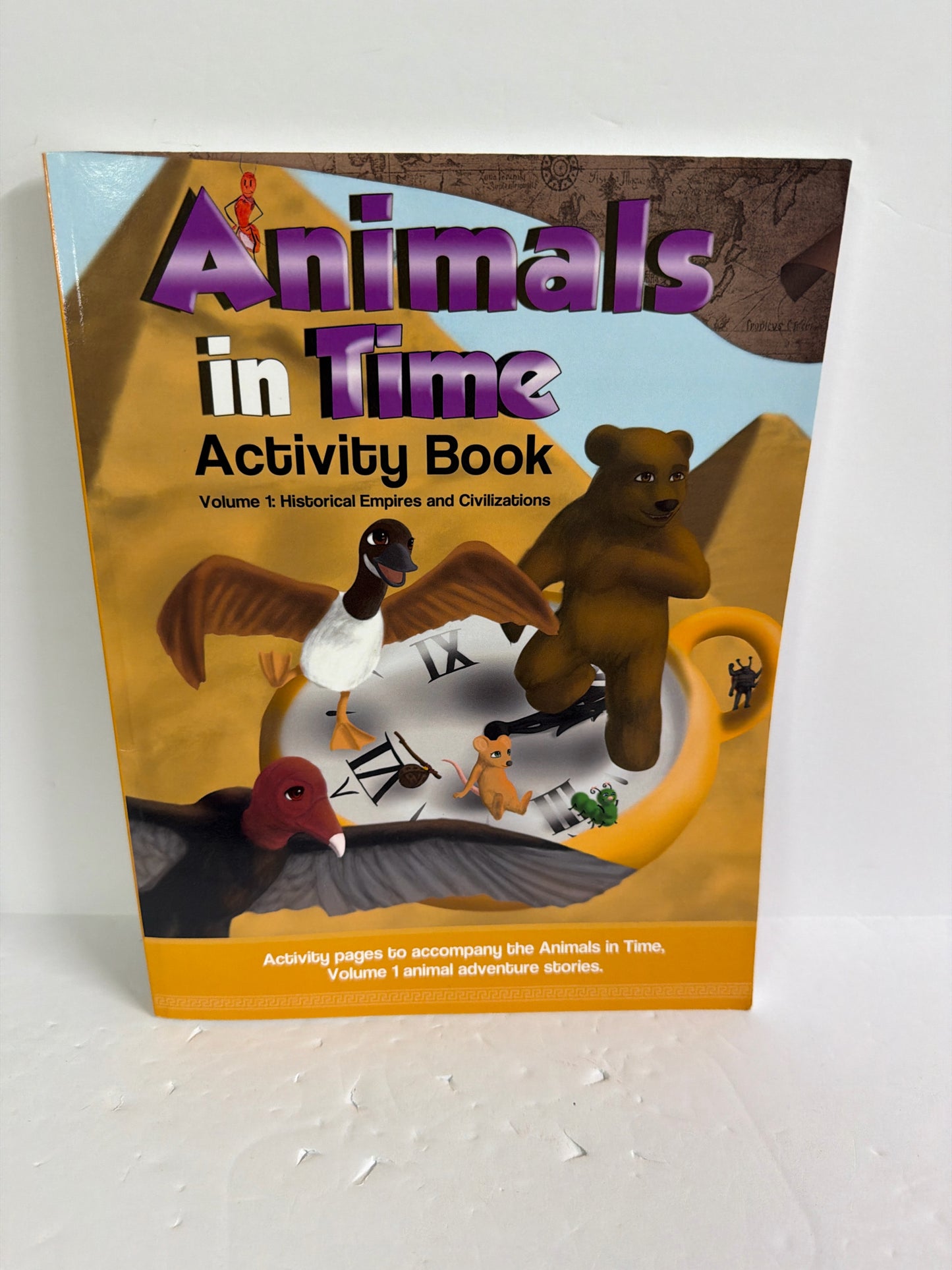 Animals in Time Let's Learn Kids Activity Book Pre-Owned History Textbooks