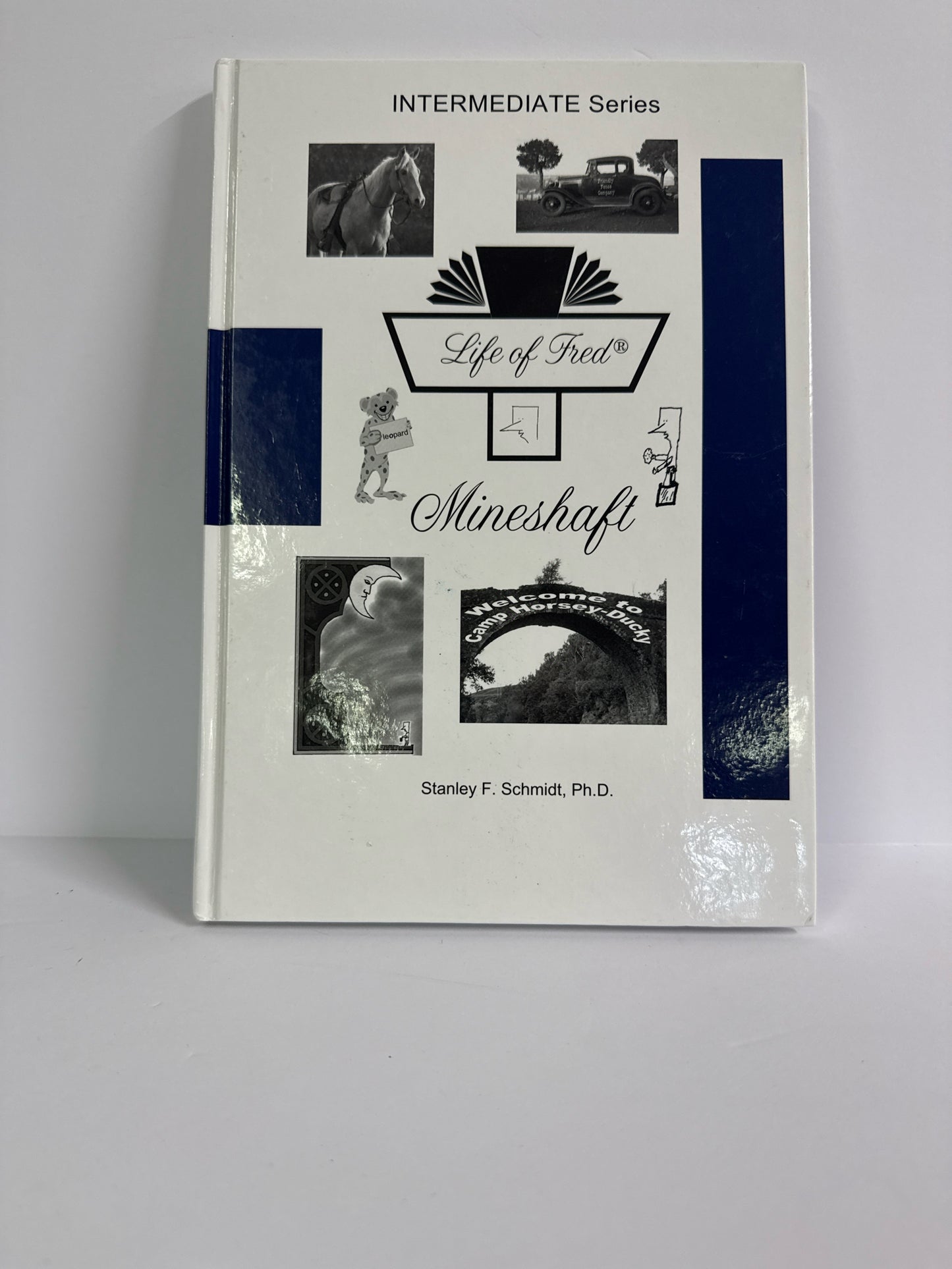 Mineshaft Life of Fred Student Book Pre-Owned Elementary Mathematics Textbooks