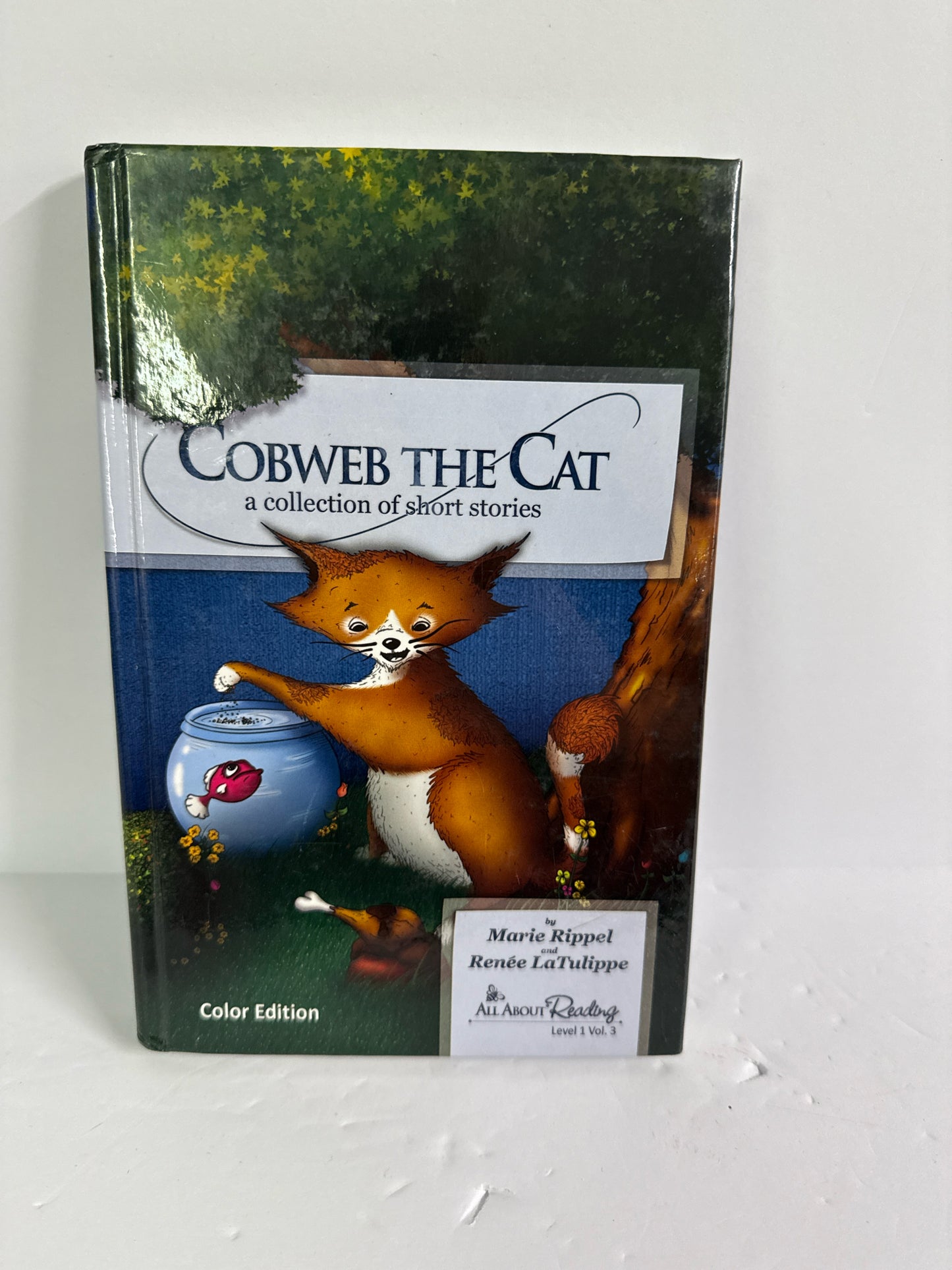 Cobweb the Cat All About Reading Reader Pre-Owned Elementary Reading Textbooks