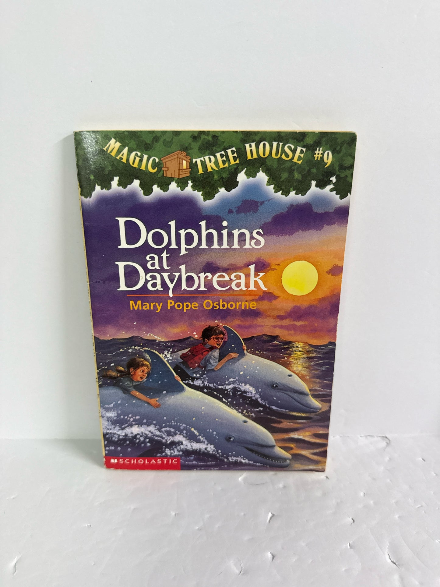 Dolphins at Daybreak Mary Pope Osborne Scholastic Juvenile Books
