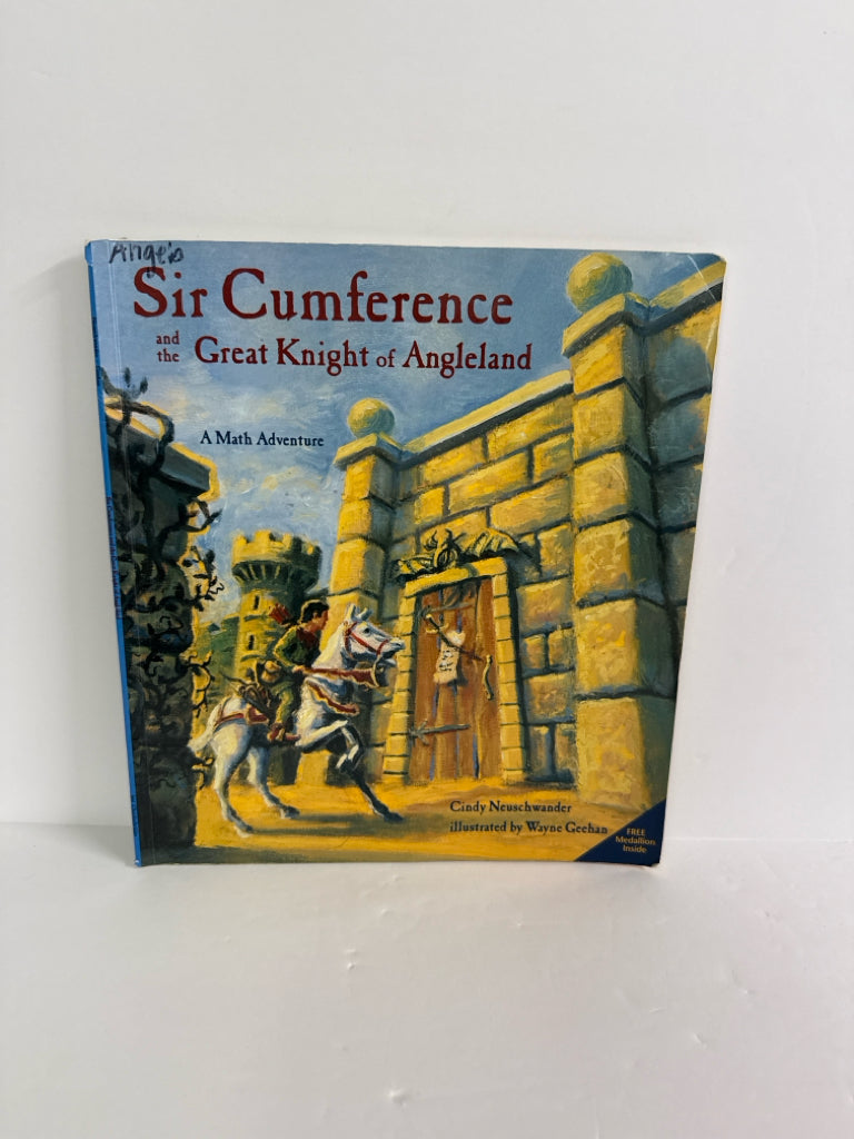 Sir Cumference Cindy Neuschwander Charlesbridge Paperback Books