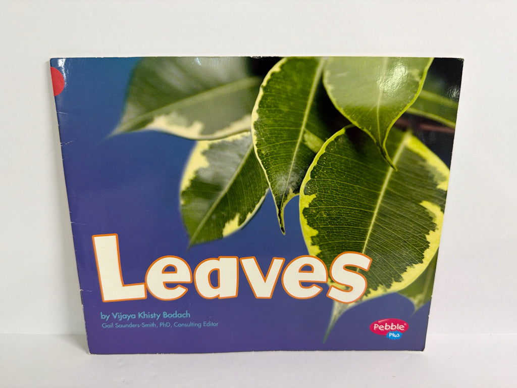 Leaves Vijaya Khisty Bodach Capstone Press Paperback Books