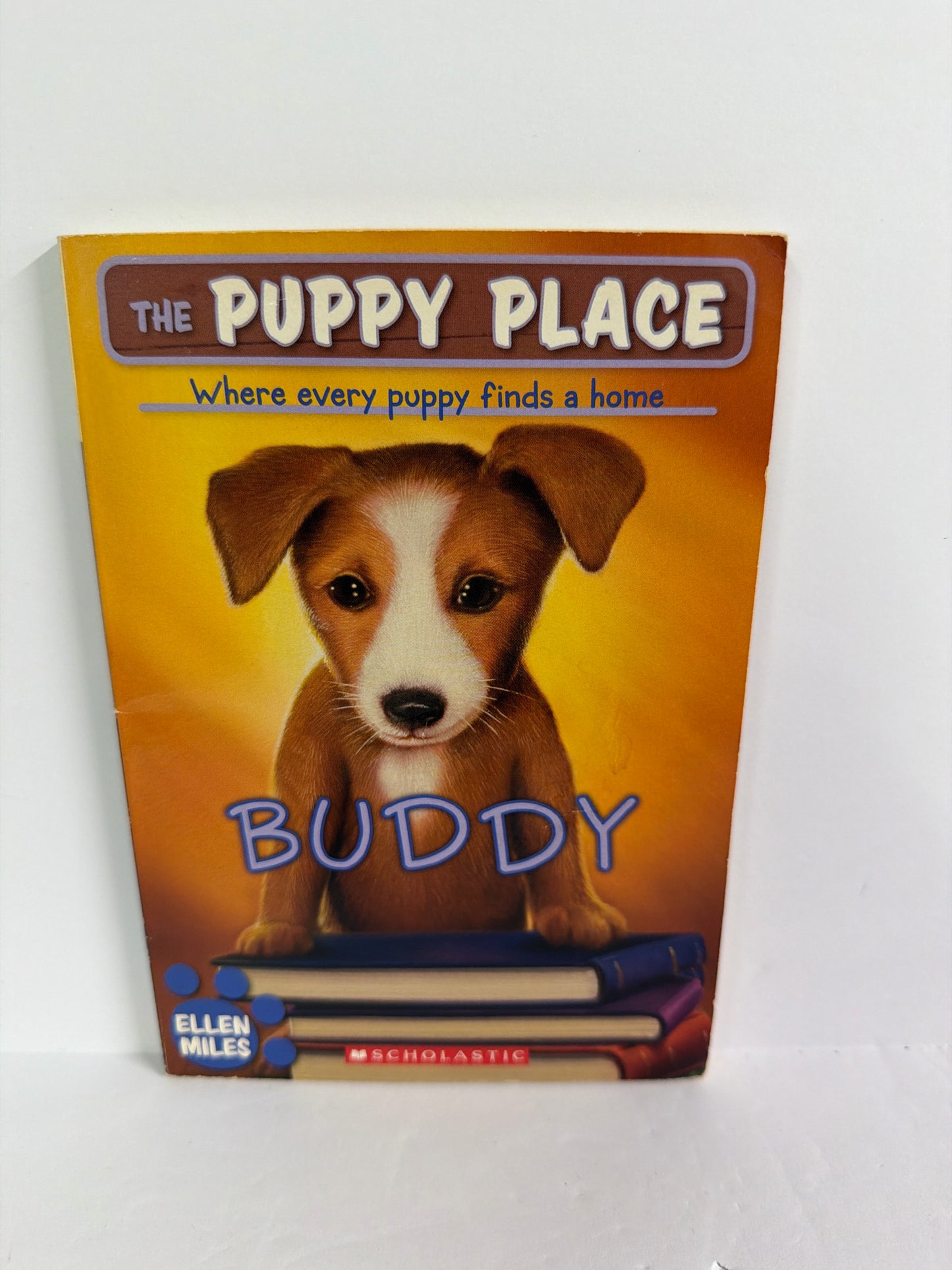 Buddy Scholastic Pre-Owned Ellen Miles Elementary Fiction Books