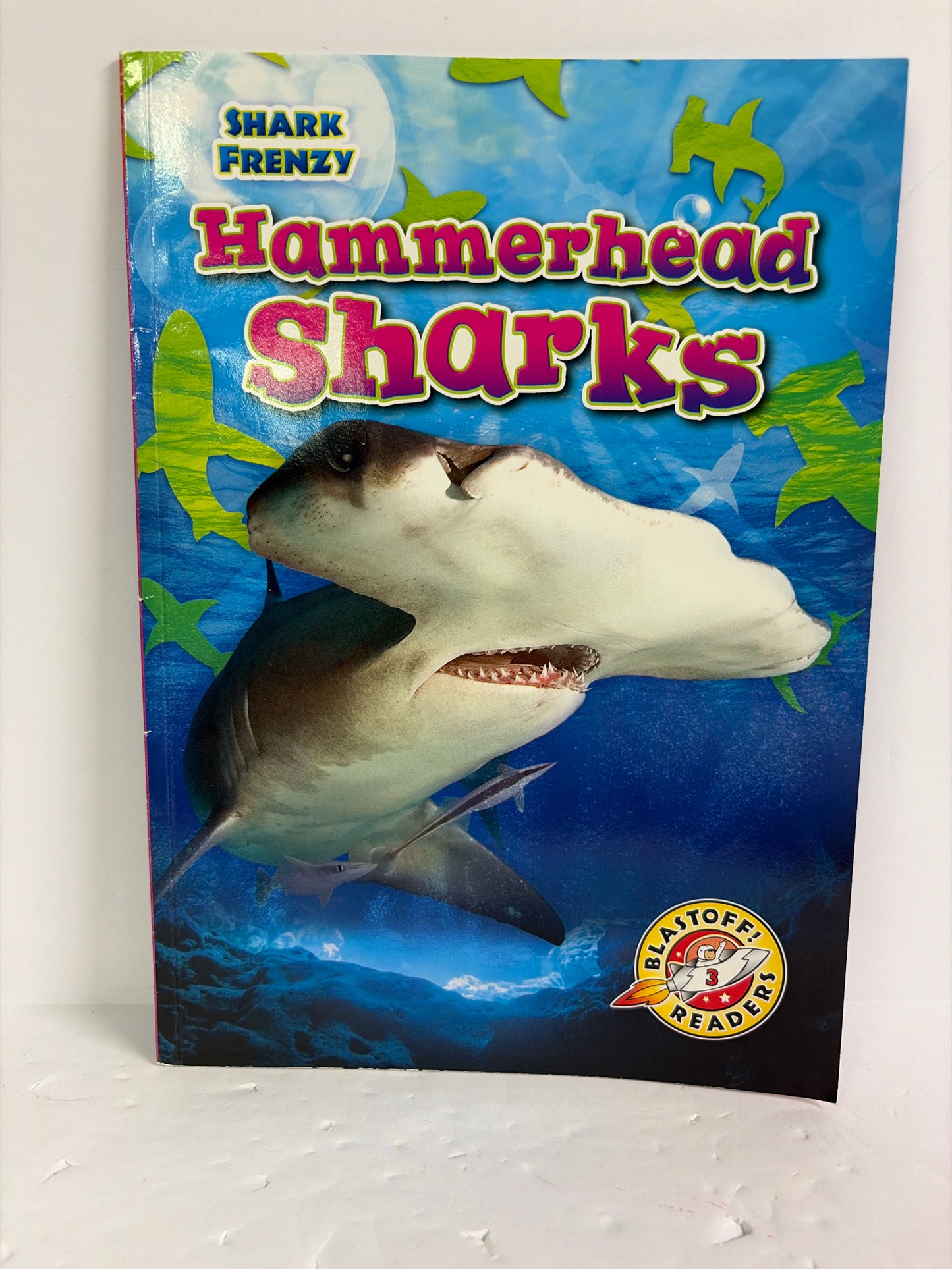 Hammerhead Sharks Bellwether Media Pre-Owned Rebecca Pettiford Ocean/Seashore