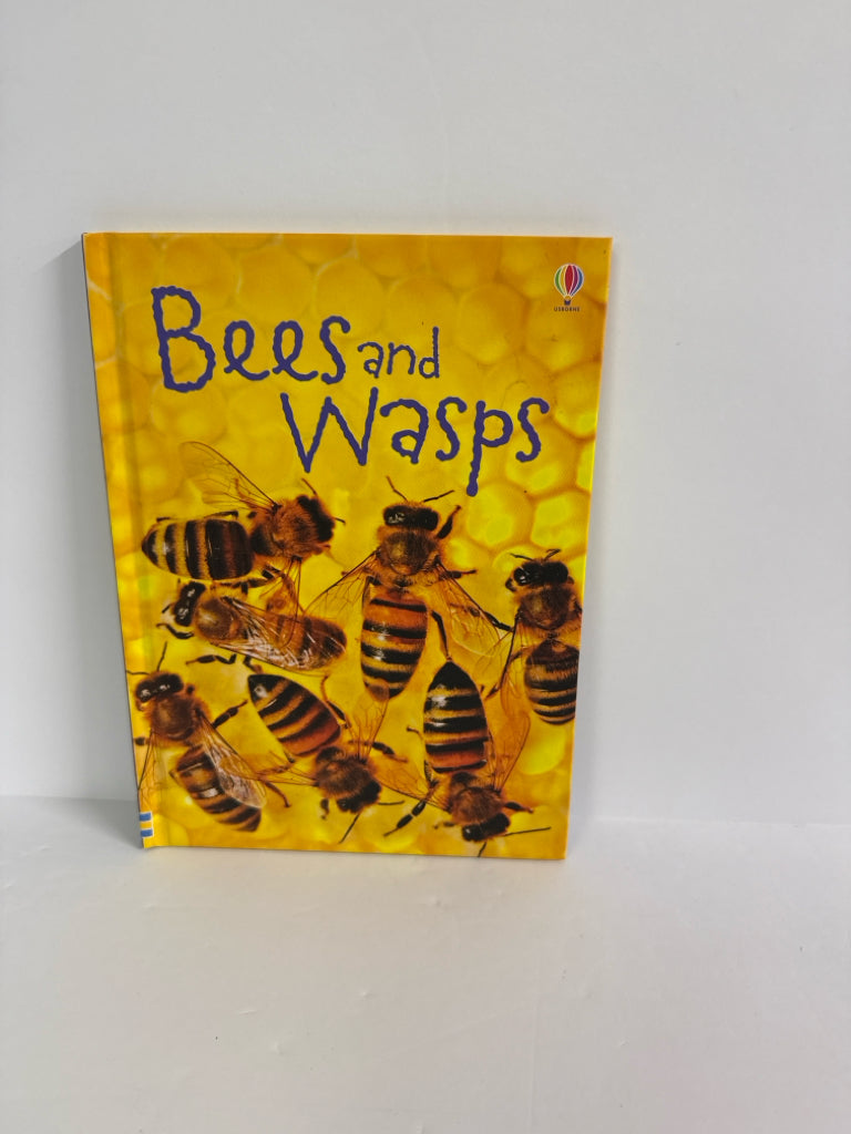 Bees and Wasps James Maclaine Usborne Hardback Books