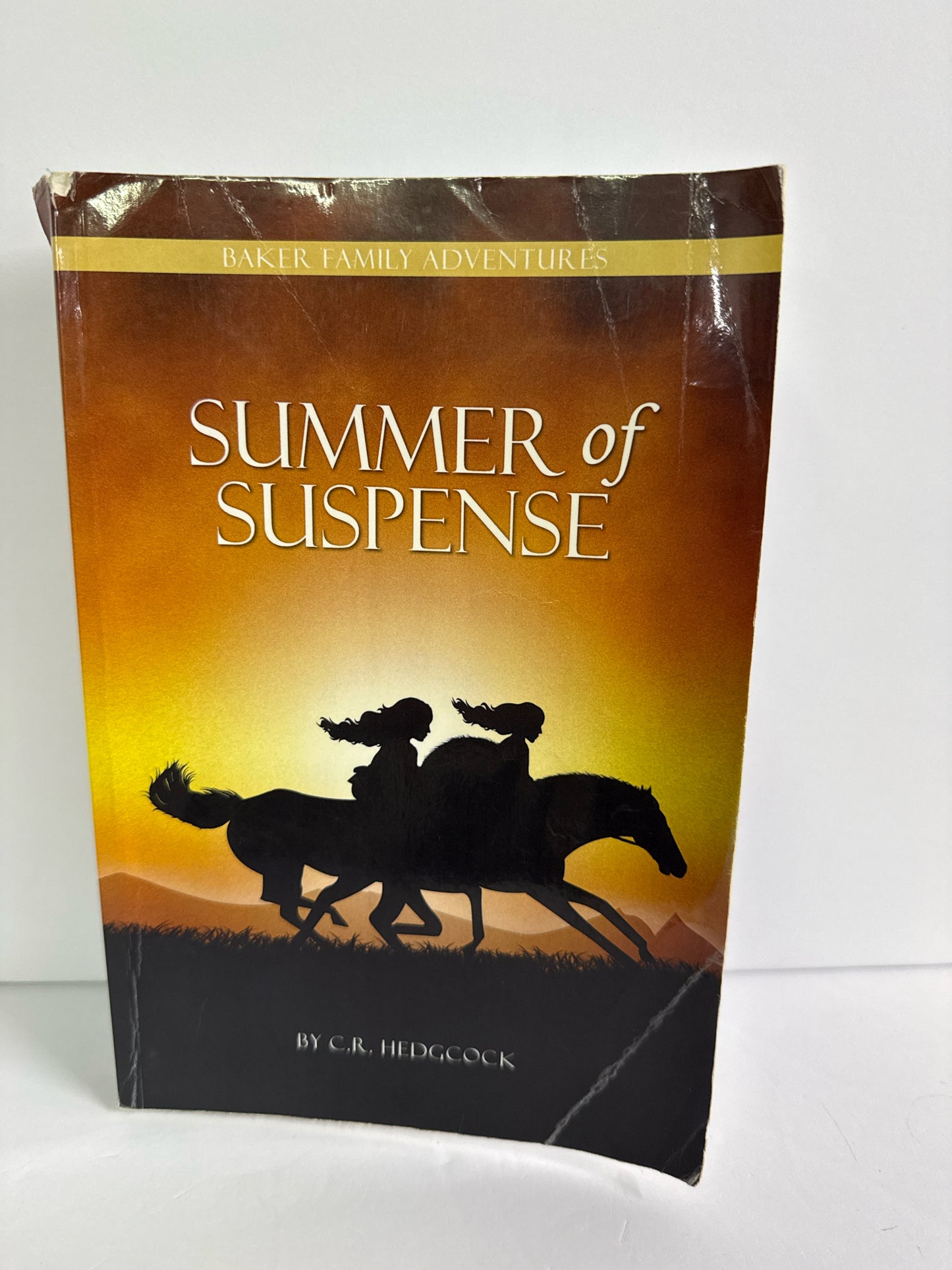 Summer of Suspense Grace and Truth Pre-Owned C.R. Hedgcock Fiction Books