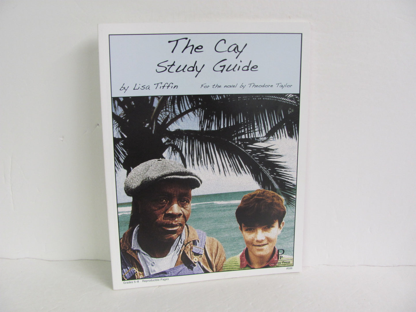 The Cay Progeny Press Literature Unit Pre-Owned Taylor Fiction Books