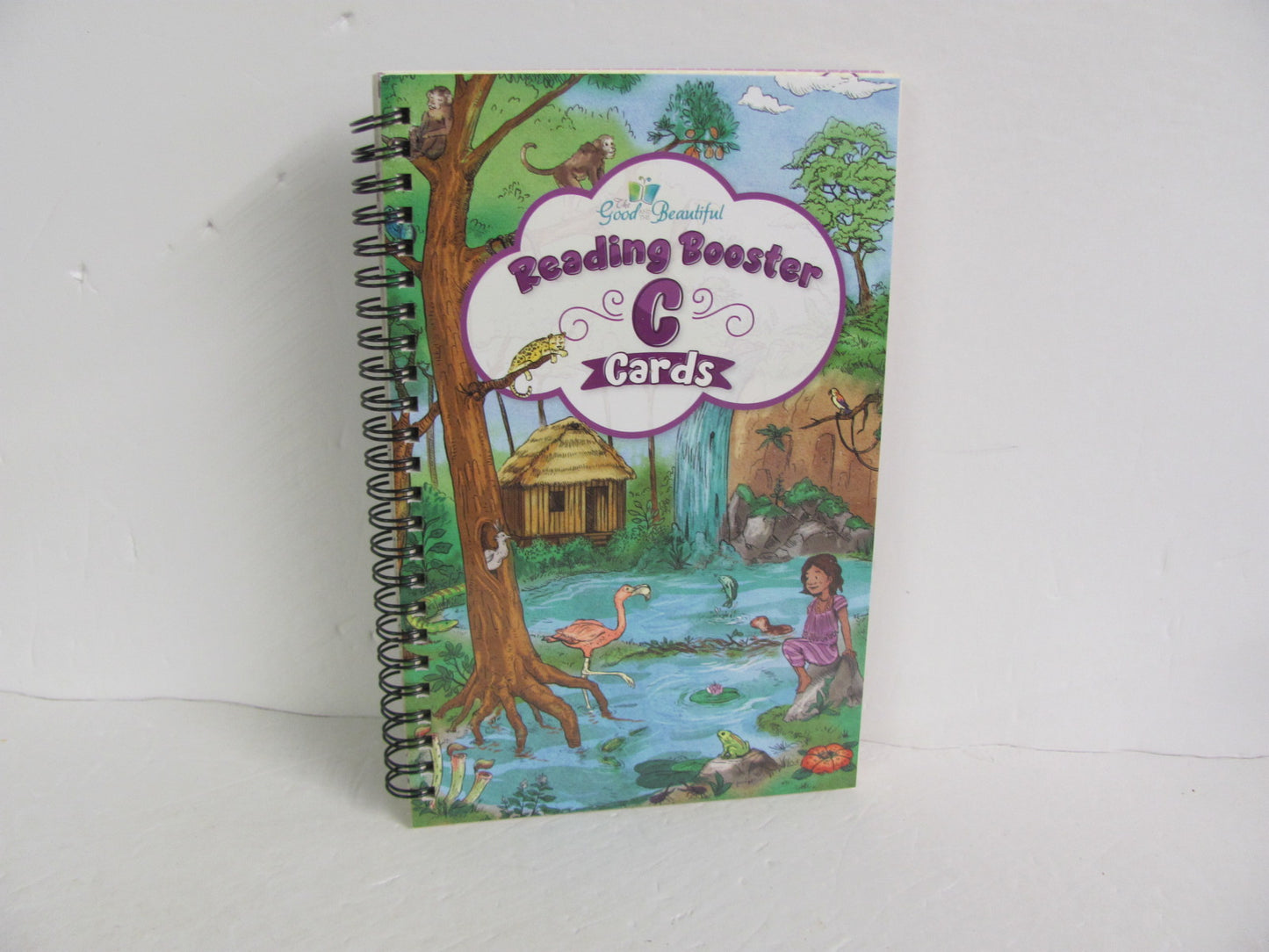 Reading Booster C Cards Good and the Beautiful Pre-Owned Reading Textbooks