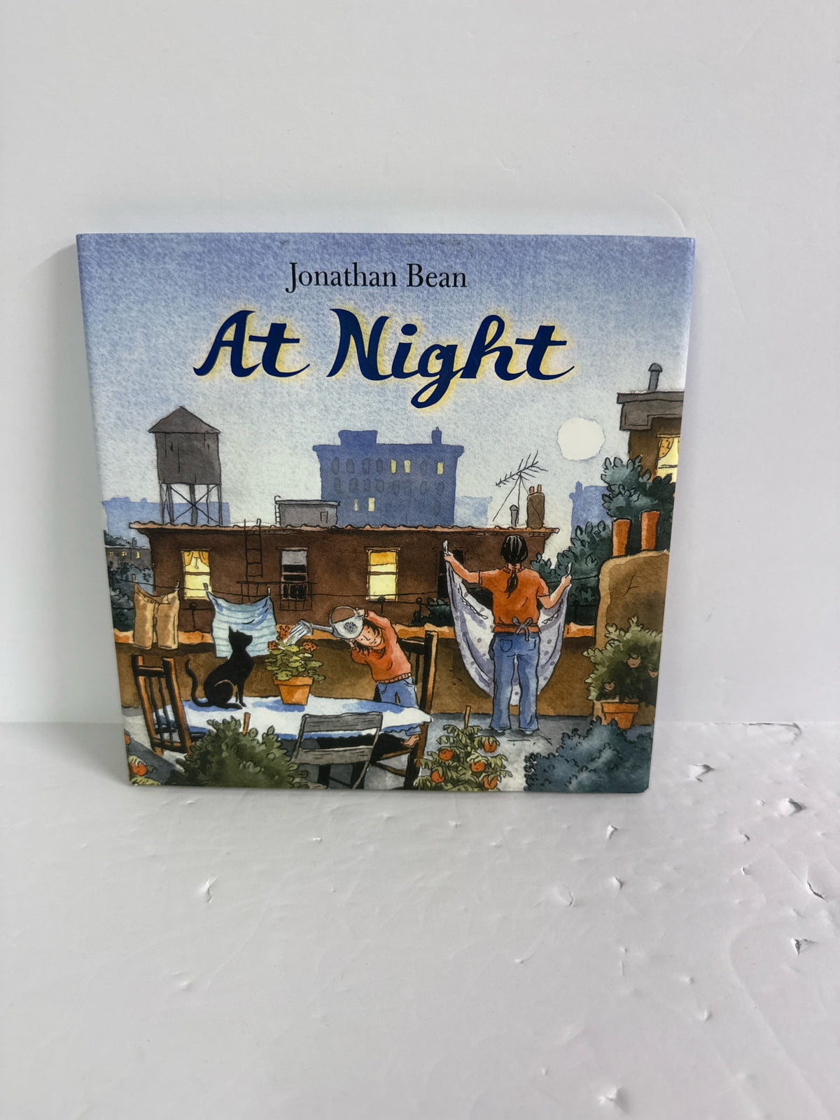 At Night Jonathan Bean Farrar Straus Hardback Books