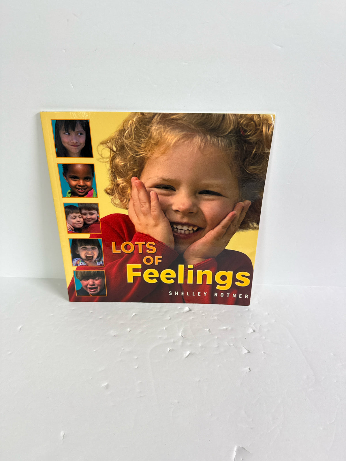 Lots of Feelings Shelley Rotner Millbrook Press Paperback Books