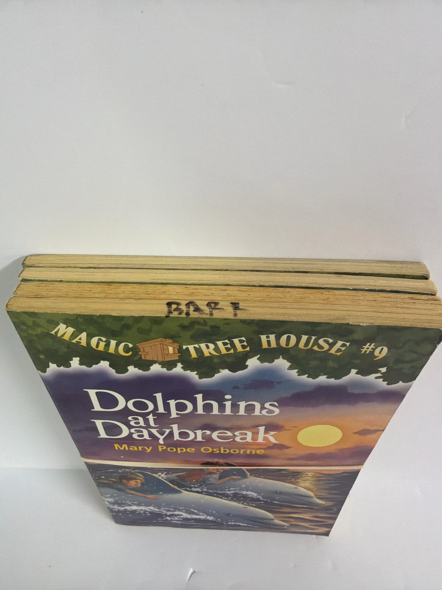 Magic Tree House Random House Set Pre-Owned Elementary The Magic Tree House