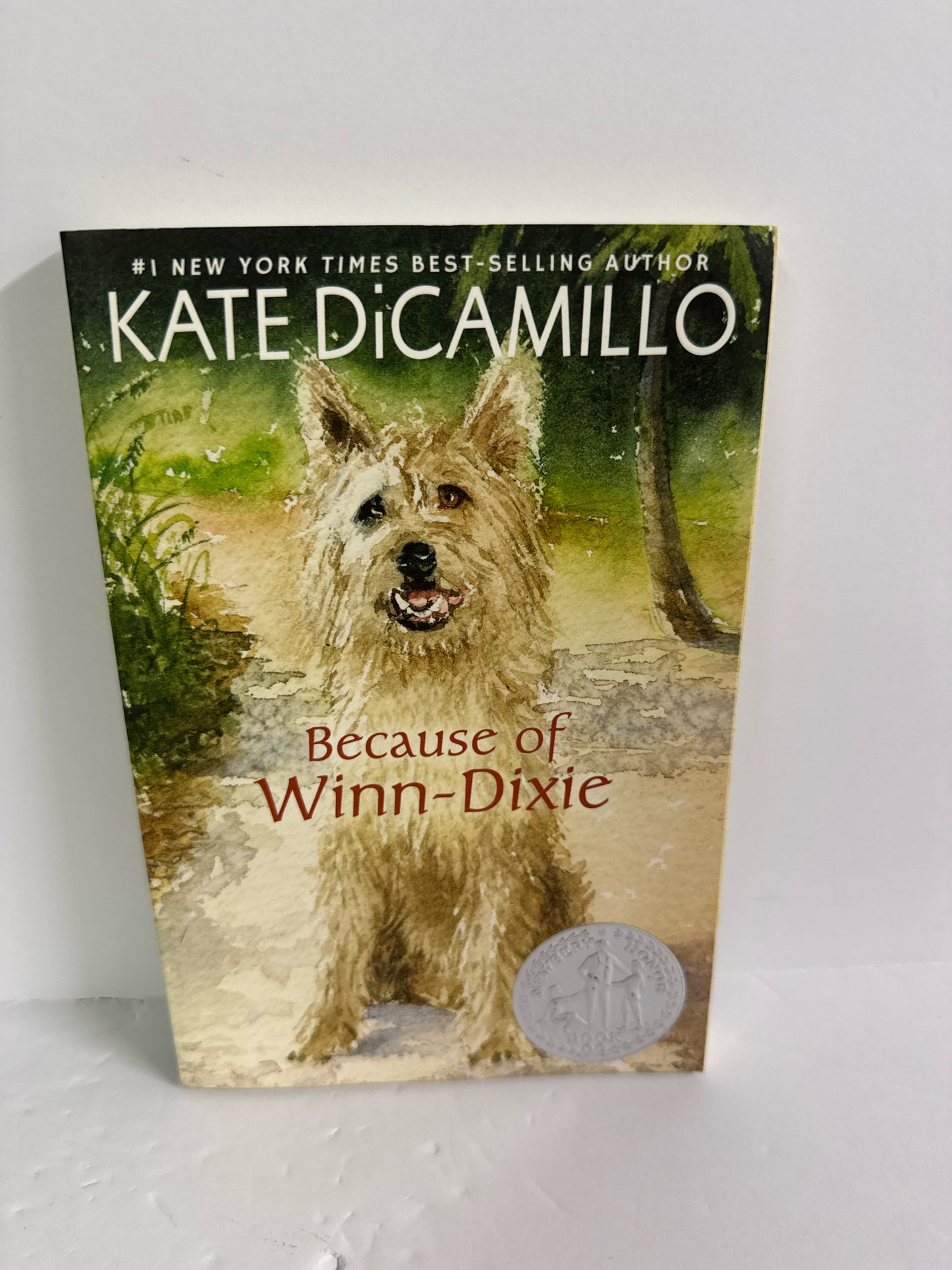 Because of Winn Dixie Candlewick Pres Pre-Owned Kate DiCamillo Fiction