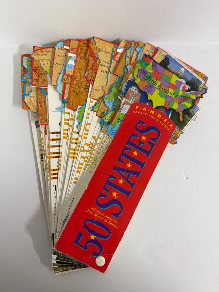 50 States Workman Flashcards Pre-Owned Elementary American Gov't
