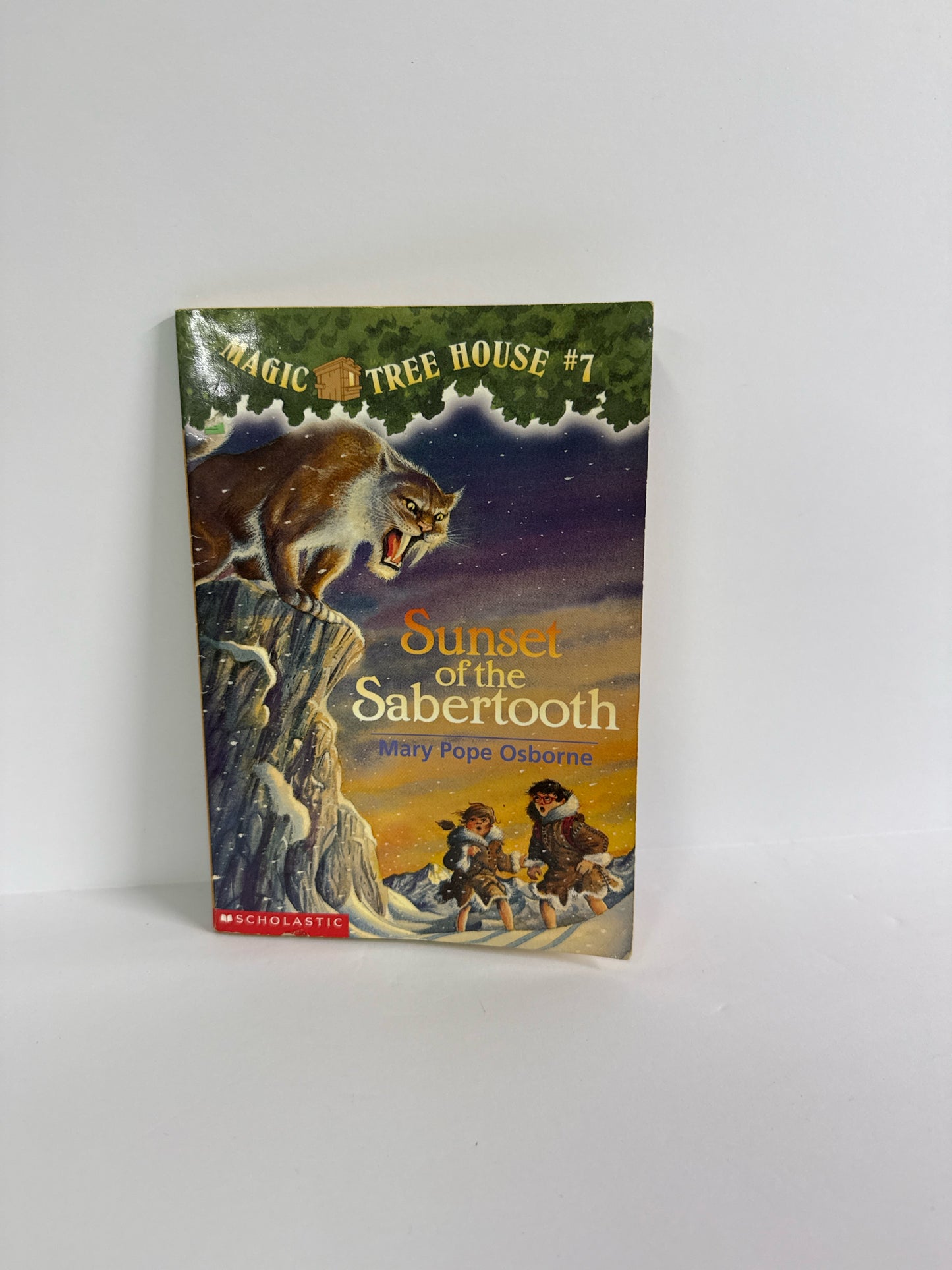 Magic Tree House Scholastic Pre-Owned Osborne Elementary Fiction Books