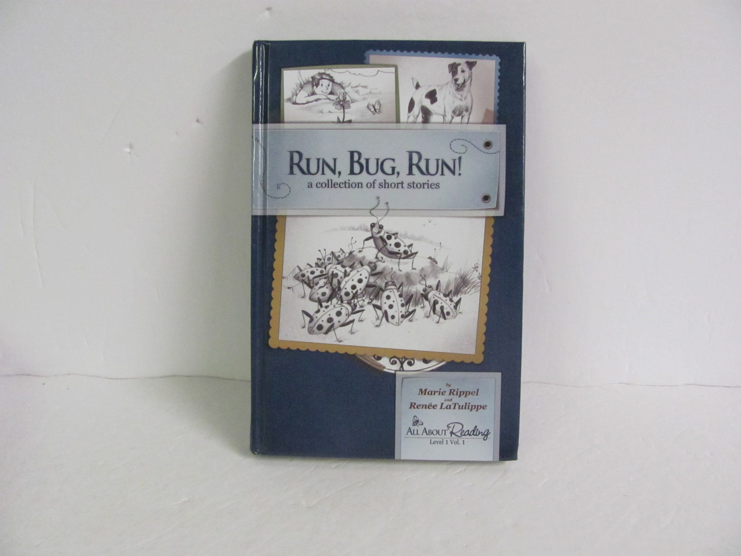 Run, Bug, Run All About Reading Student Book Pre-Owned Rippel Reading Textbooks
