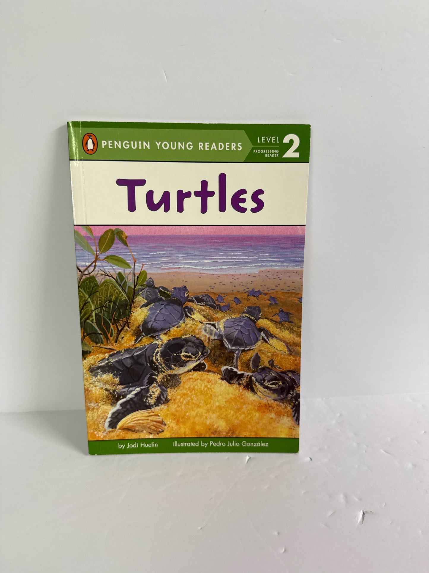 Turtles Penguin Pre-Owned Jodi Huelin Elementary Phonic Readers