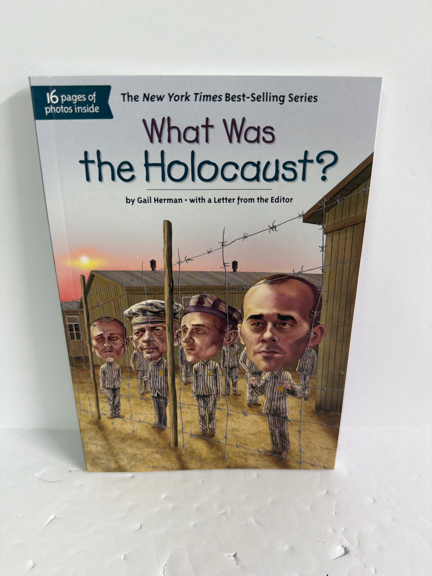 What Was the Holocaust? Gail Herman WHOHQ Juvenile Books
