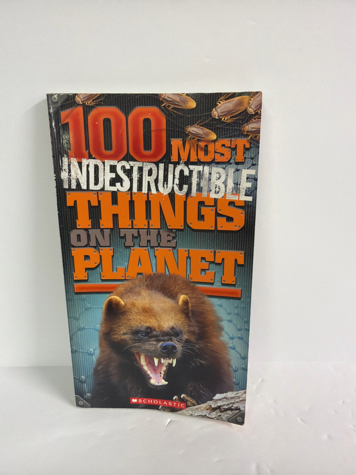 100 Most Indestructible Things Scholastic Pre-Owned Elementary Science Textbooks