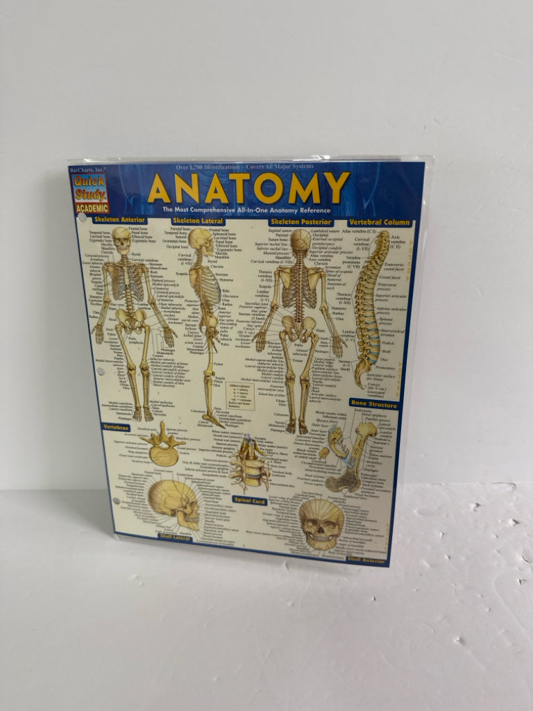 Anatomy Quick Study Chart Pre-Owned High School Science Textbooks