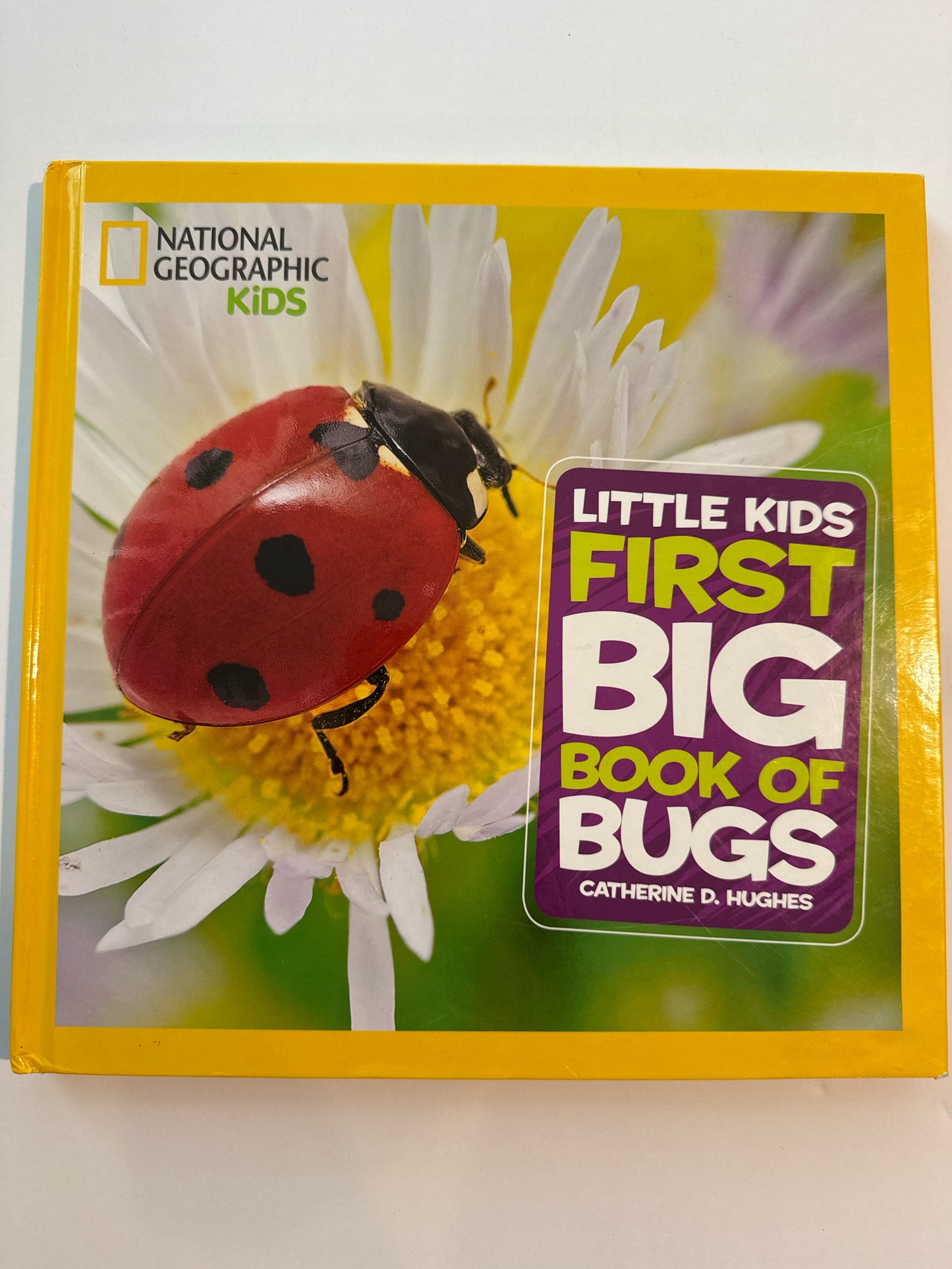 Little Kids First Big Book of Bugs National Geographic Kids Children's Books