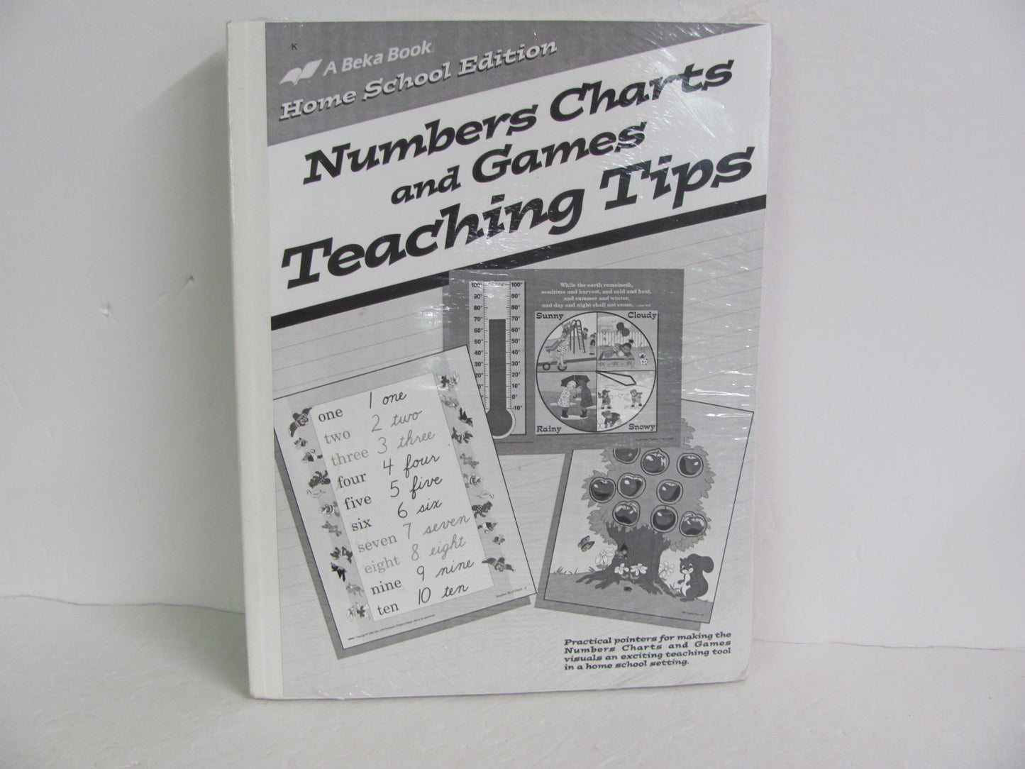 Numbers Charts and Games Abeka Pre-Owned Kindergarten Mathematics Textbooks