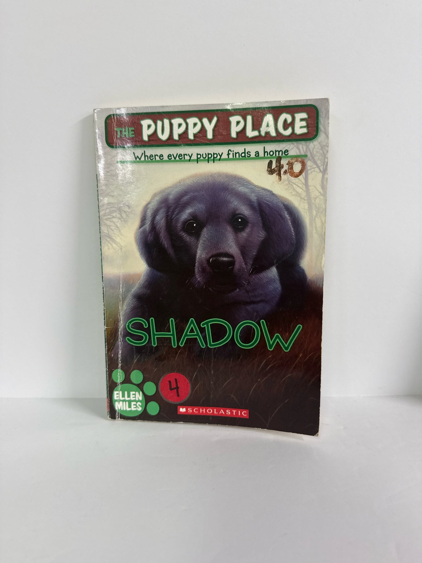 Shadow Ellen Miles Scholastic Juvenile Books
