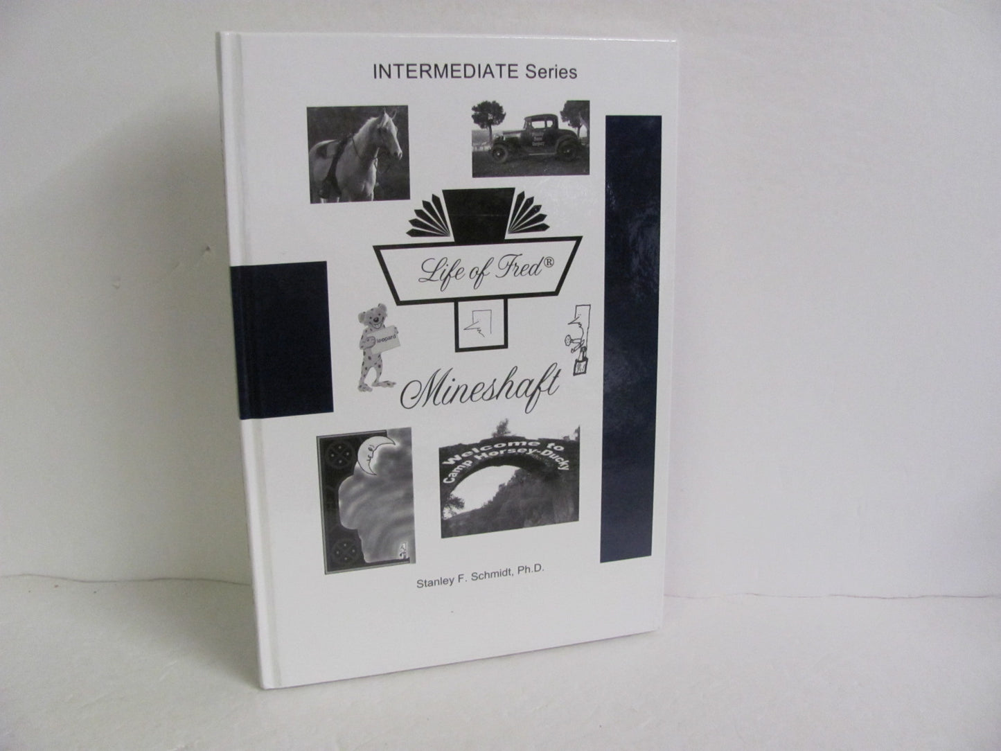 Mineshaft Life of Fred Student Book Pre-Owned Schmidt Mathematics Textbooks