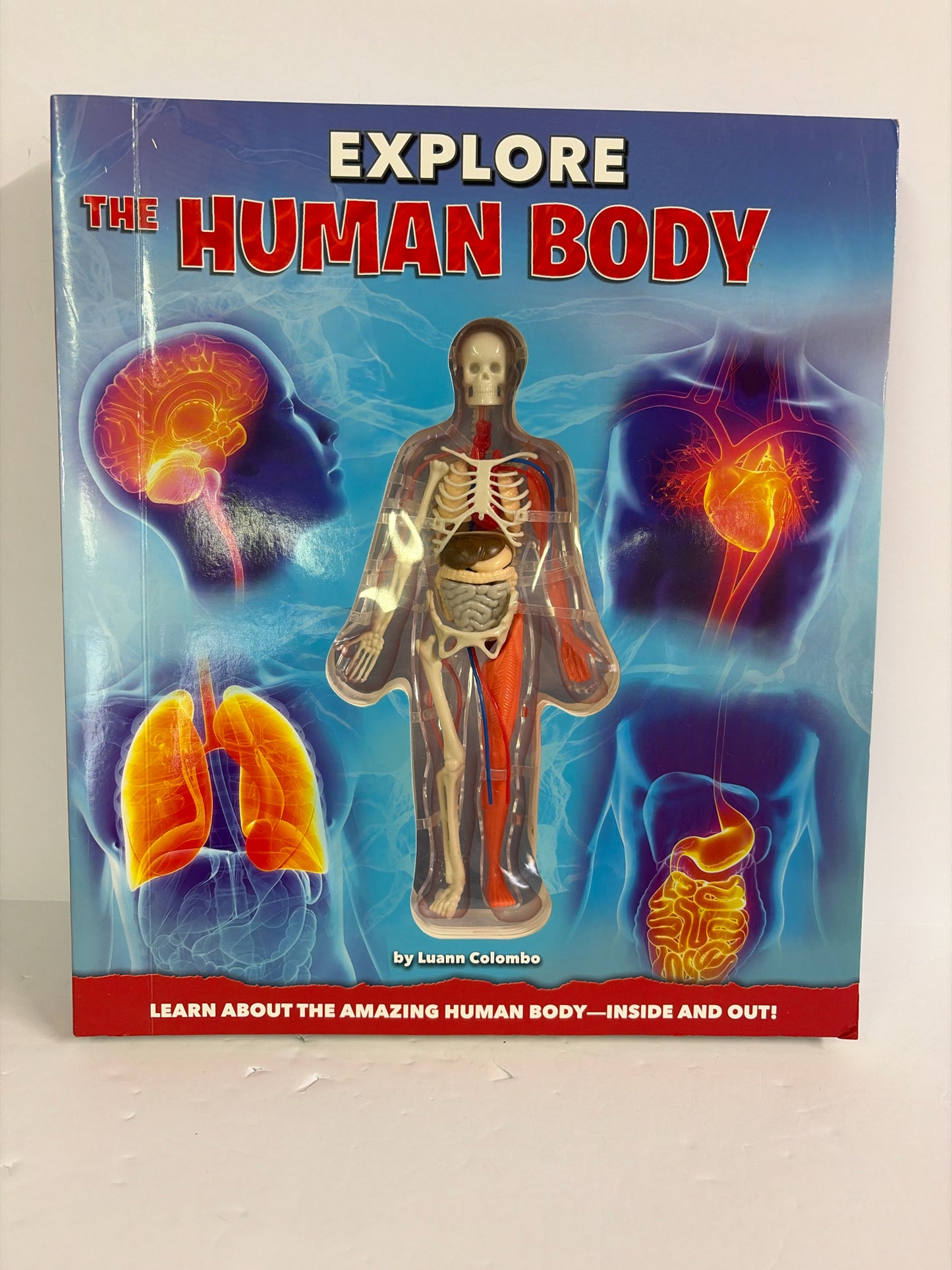 Explore the Human Body Silver Dolphin Pre-Owned Luann Colombo Biology/Human Body