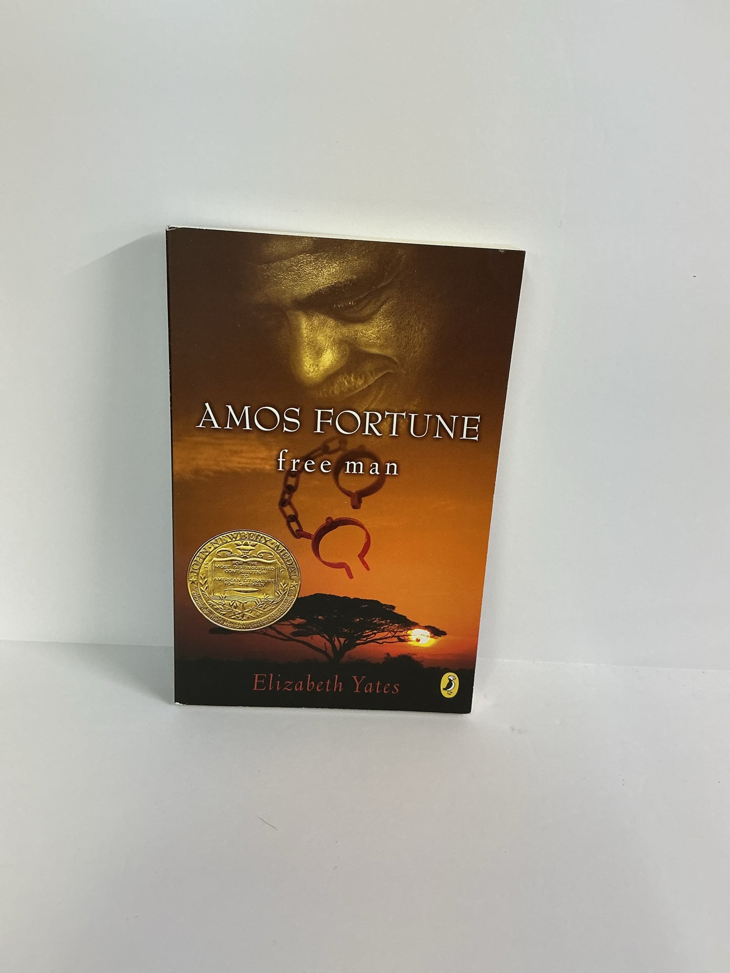 Amos Fortune Puffin Pre-Owned Elizabeth Yates Nonfiction