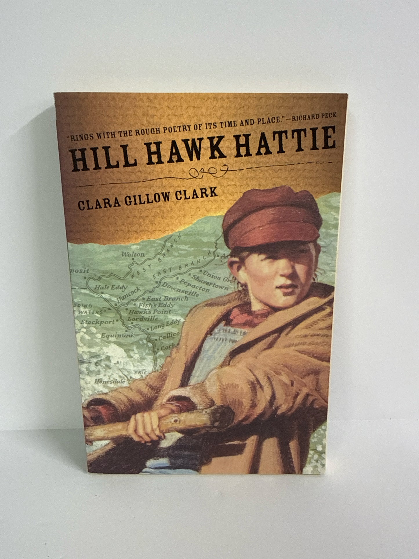 Hill Hawk Hattie Candlewick Pres Pre-Owned Clara Gillow Clark Fiction Books